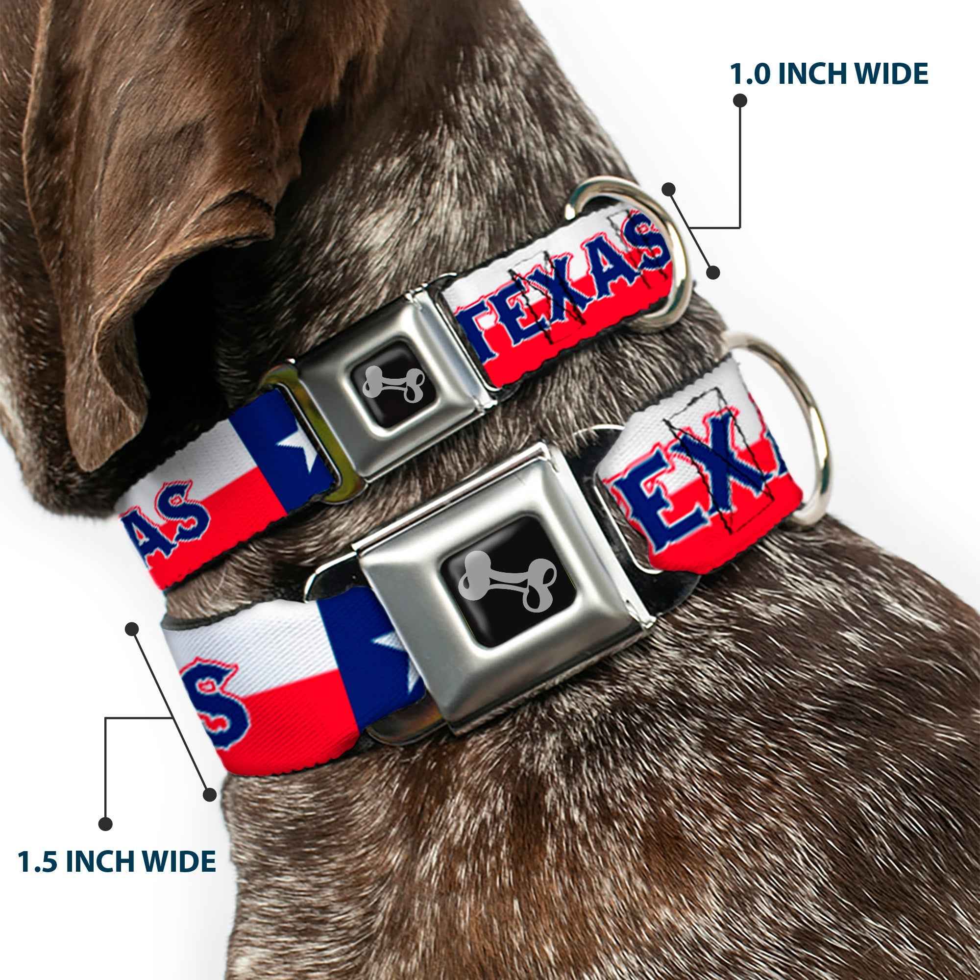 Buckle-Down Texas Flag/Texas Seatbelt Buckle Dog Collar
