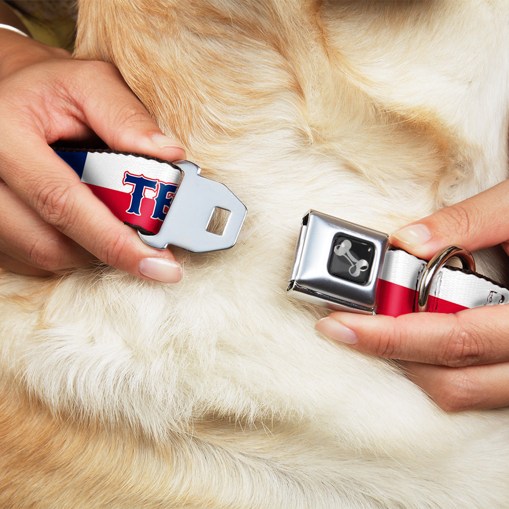 Buckle-Down Texas Flag/Texas Seatbelt Buckle Dog Collar