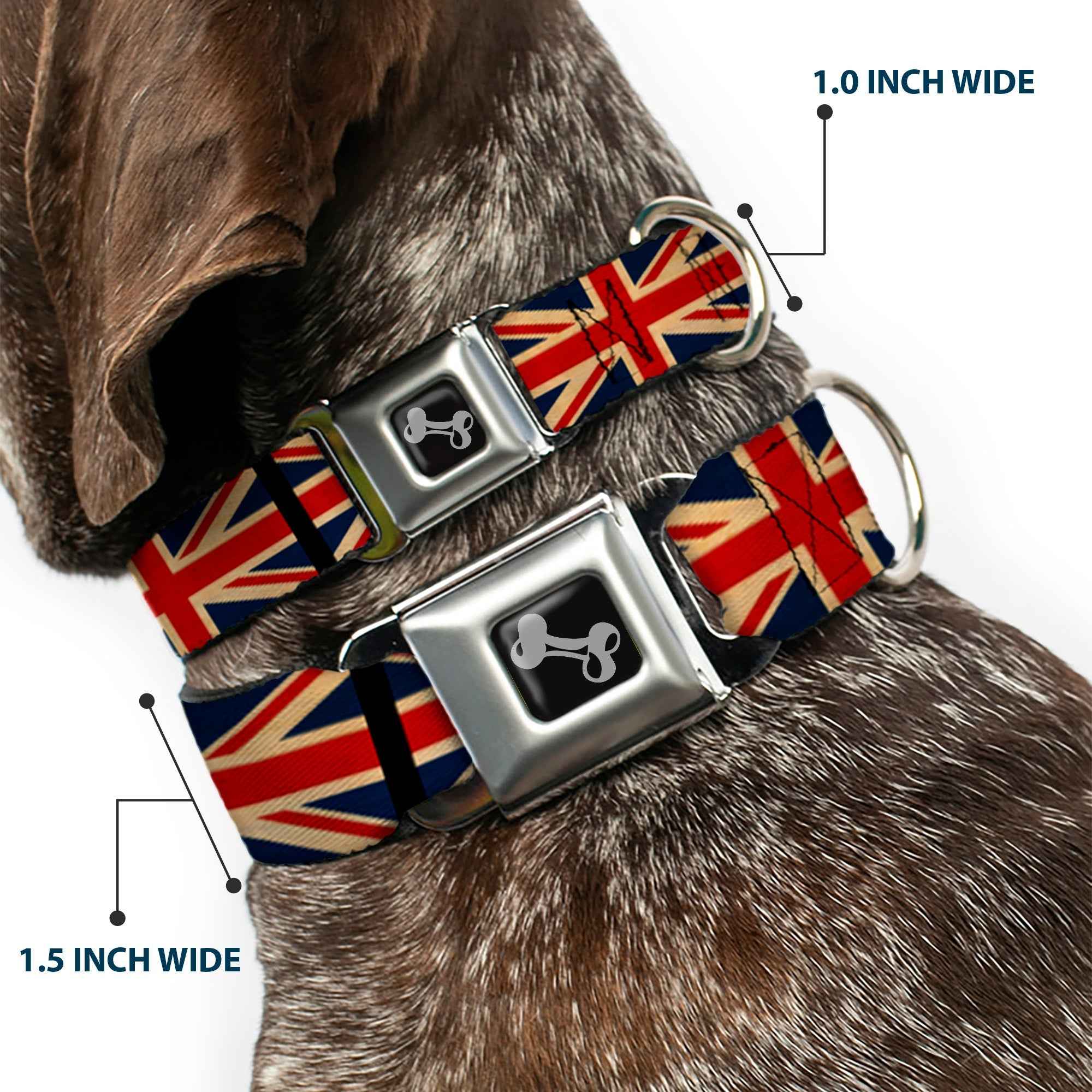 Buckle-Down Dog Bone Black/Silver Seatbelt Buckle Dog Collar - United Kingdom Flags Vintage Black
