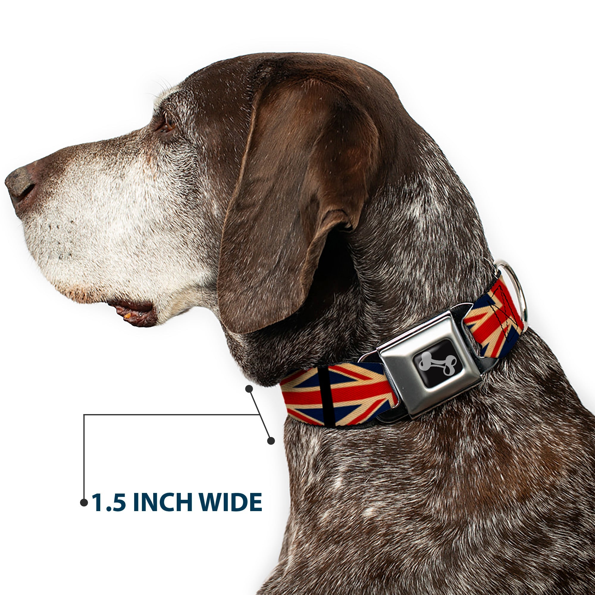 Buckle-Down Dog Bone Black/Silver Seatbelt Buckle Dog Collar - United Kingdom Flags Vintage Black