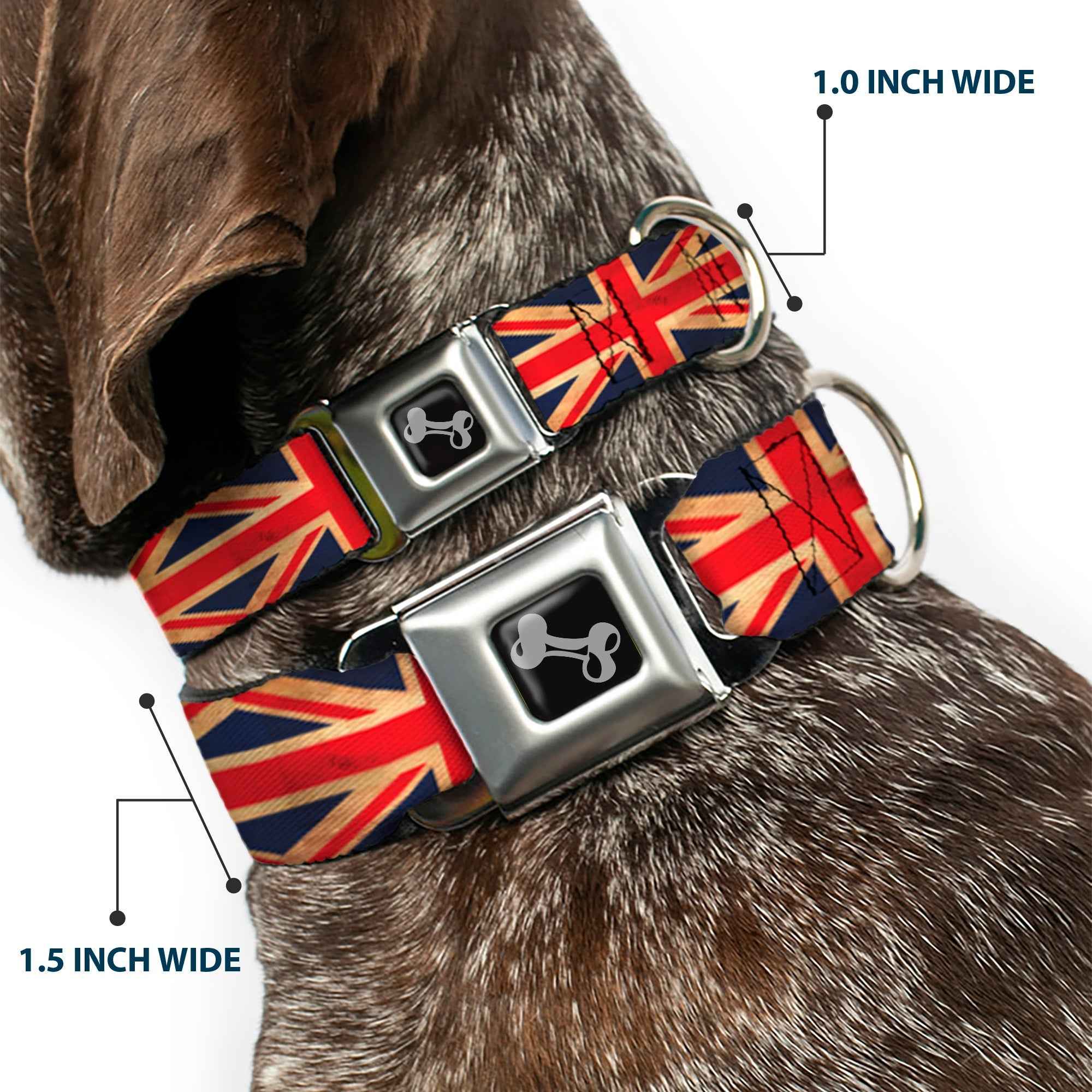 Buckle-Down Dog Bone Black/Silver Seatbelt Buckle Dog Collar - United Kingdom Flag Continuous Vintage
