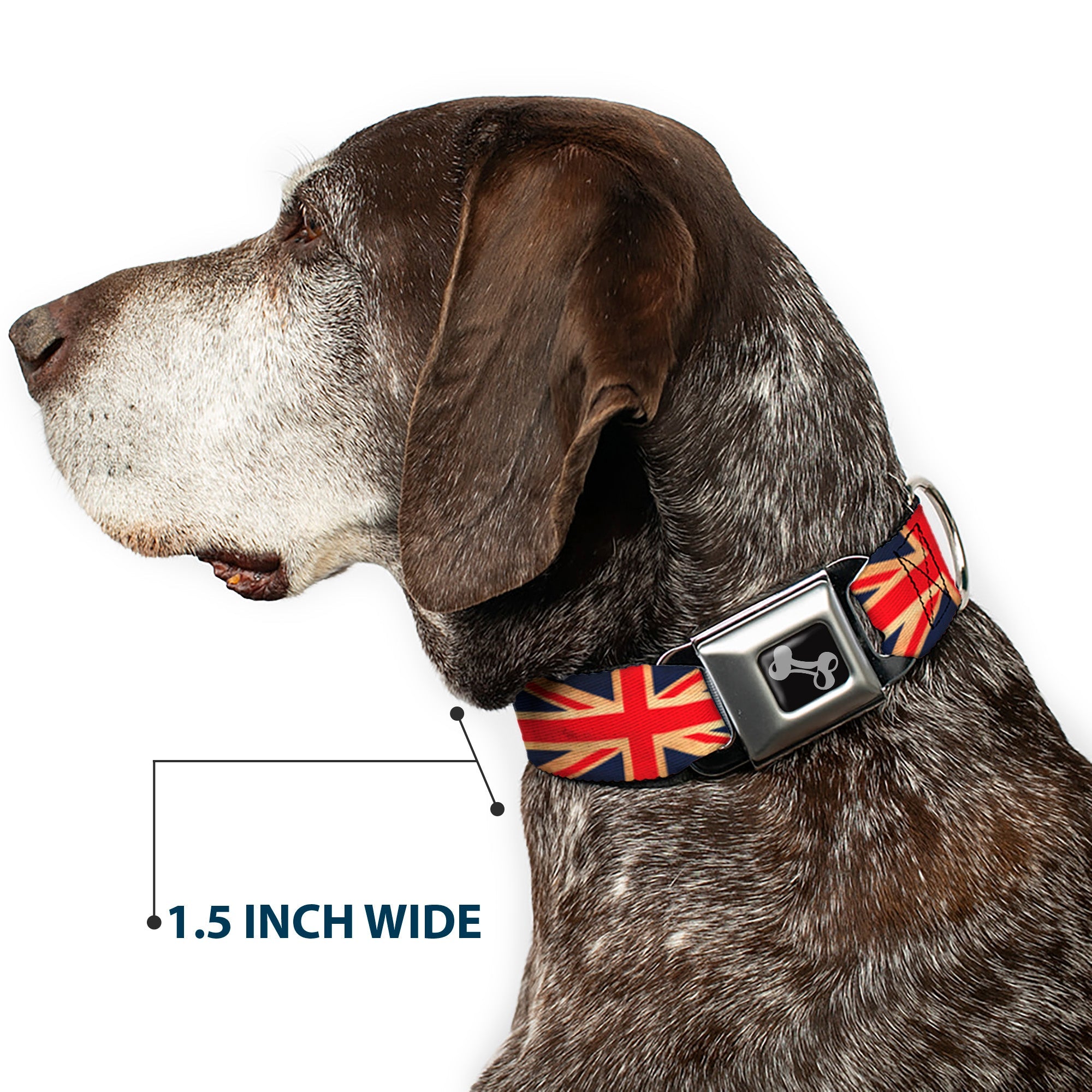 Buckle-Down Dog Bone Black/Silver Seatbelt Buckle Dog Collar - United Kingdom Flag Continuous Vintage