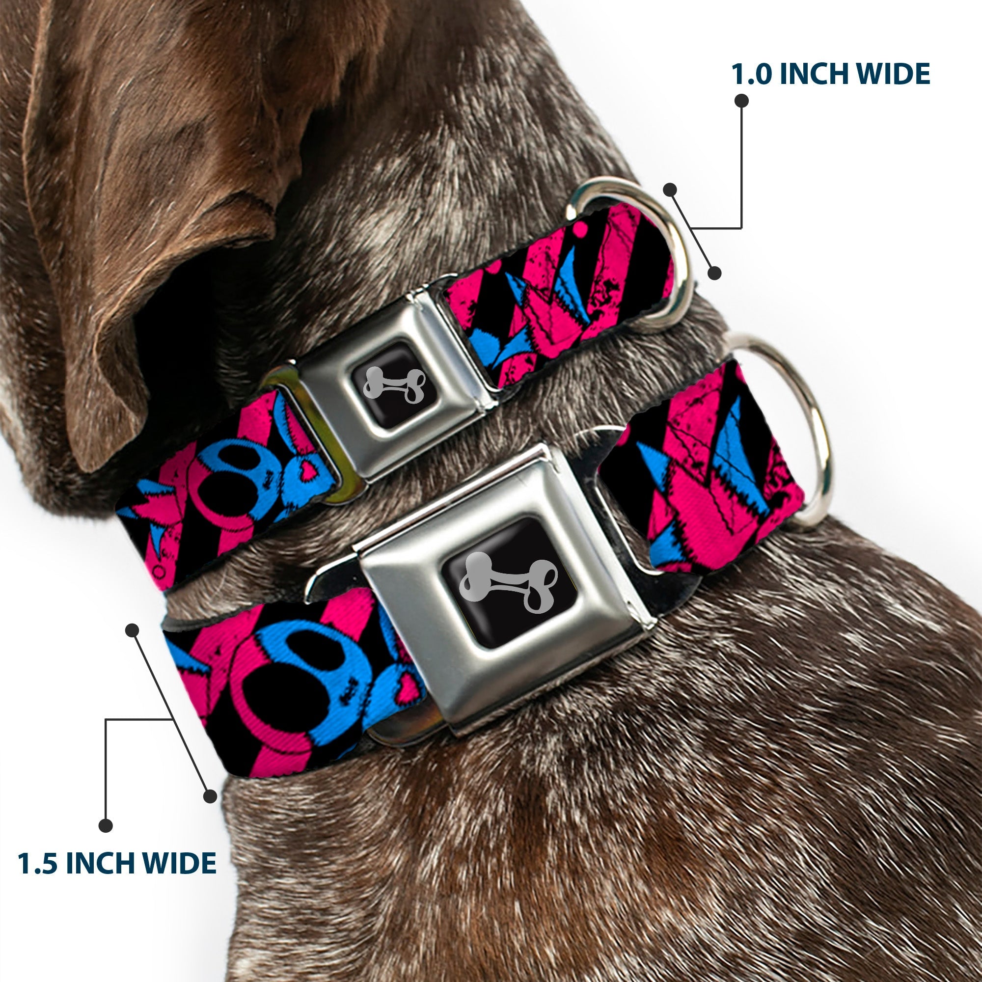 Dog Bone Seatbelt Buckle Collar - Voodoo Black/Pink/Blue