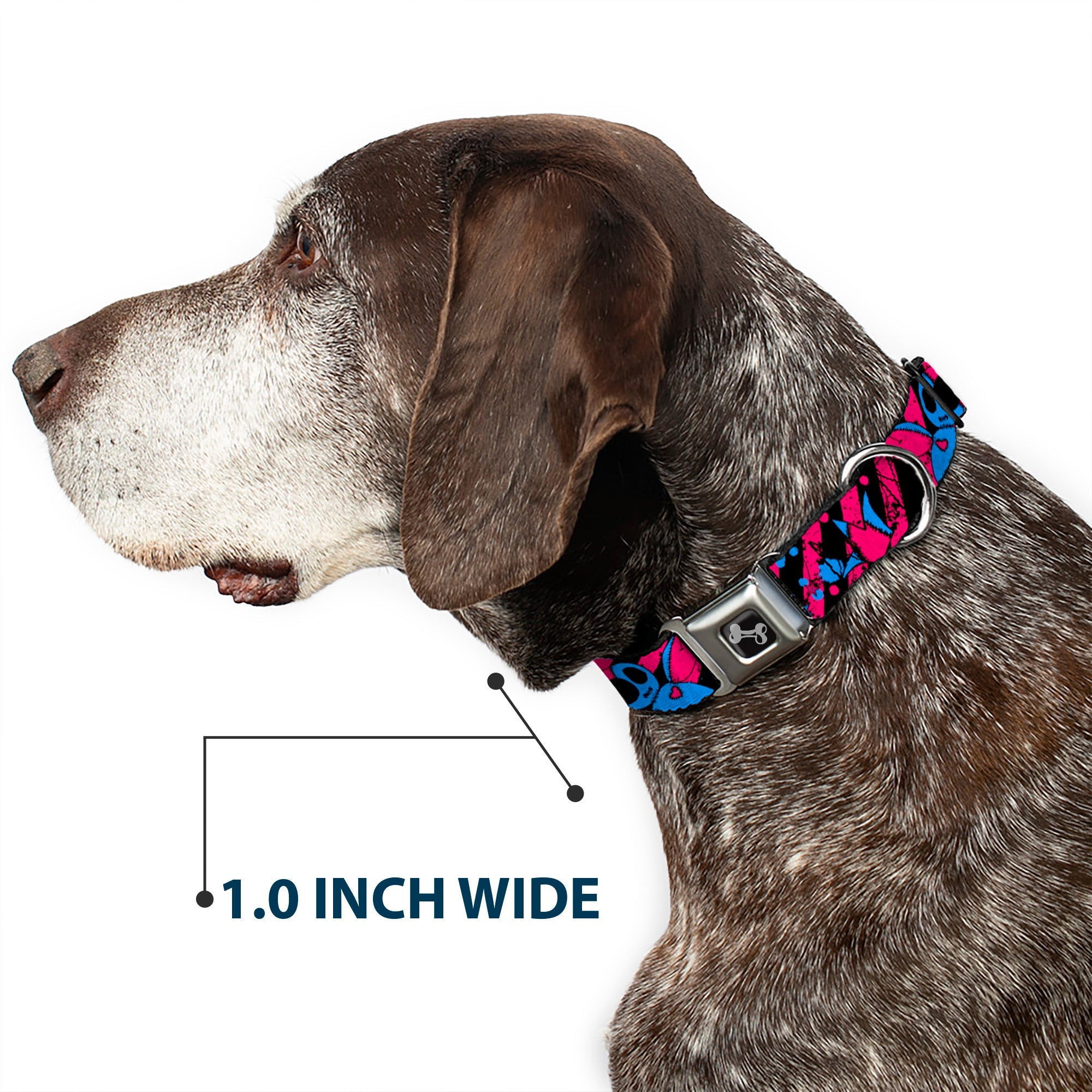 Dog Bone Seatbelt Buckle Collar - Voodoo Black/Pink/Blue
