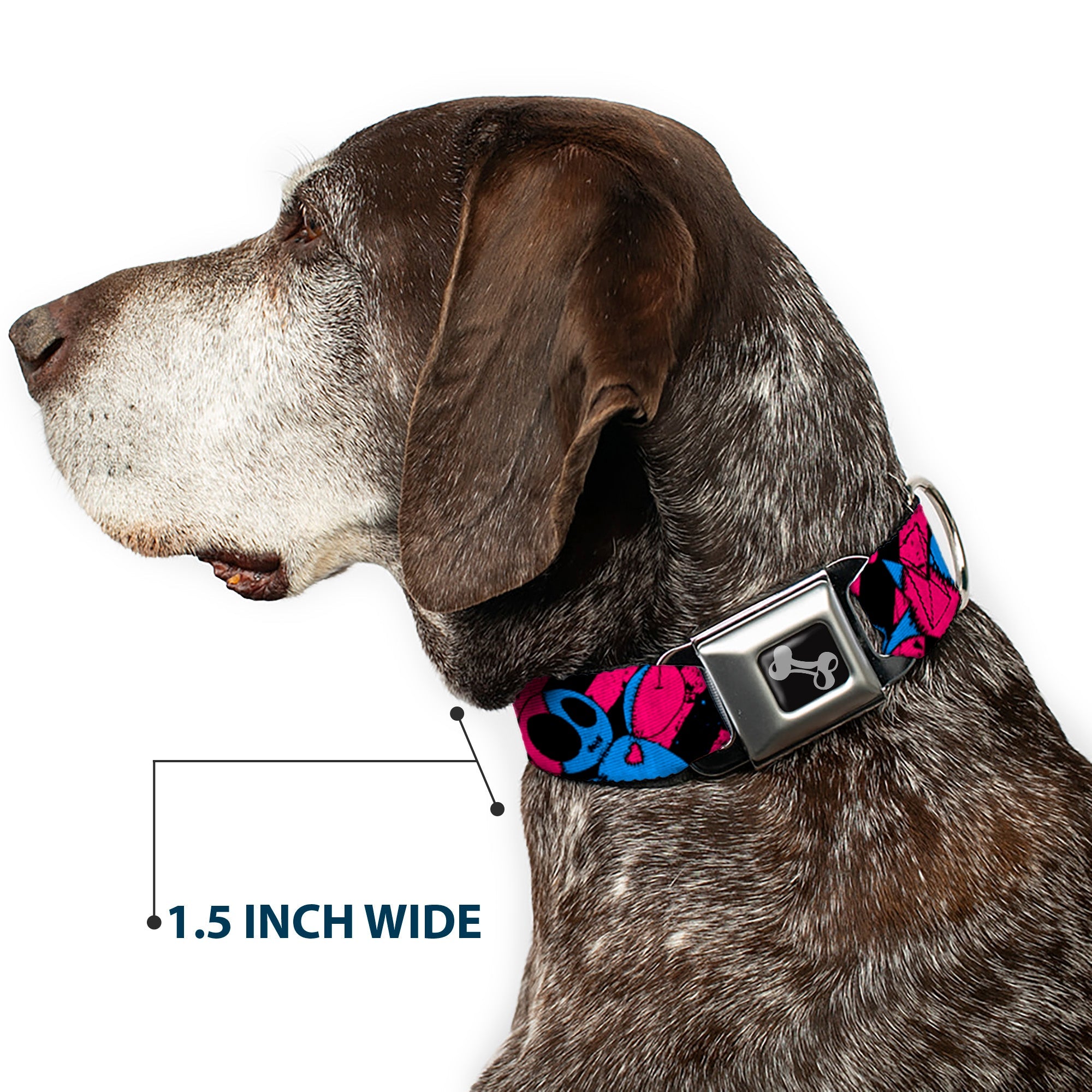 Dog Bone Seatbelt Buckle Collar - Voodoo Black/Pink/Blue
