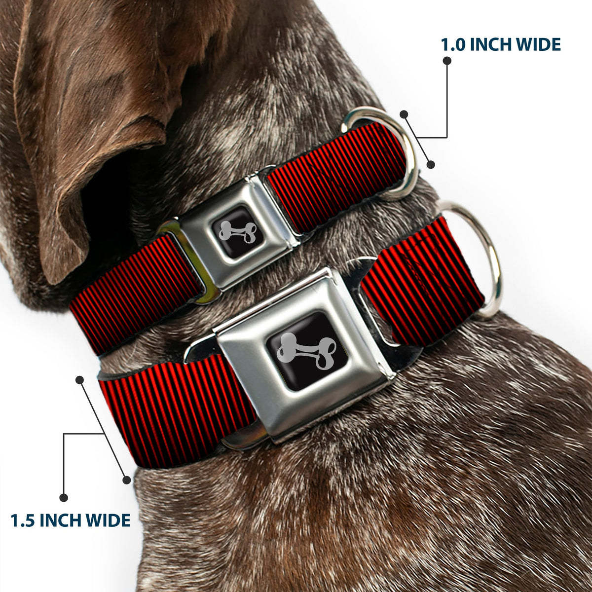 Dog Bone Seatbelt Buckle Collar - Vertical Stripes Transition Black/Red