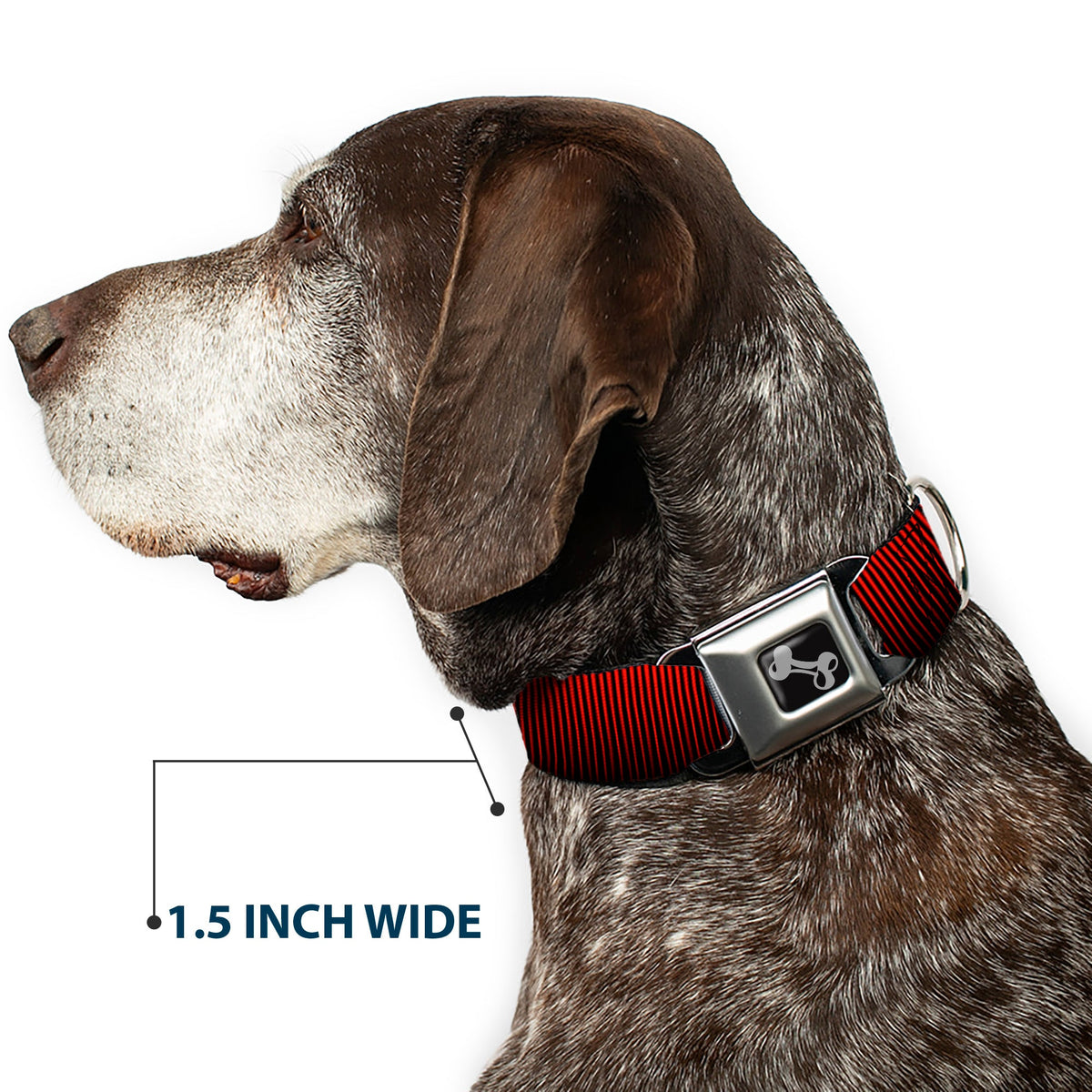 Dog Bone Seatbelt Buckle Collar - Vertical Stripes Transition Black/Red
