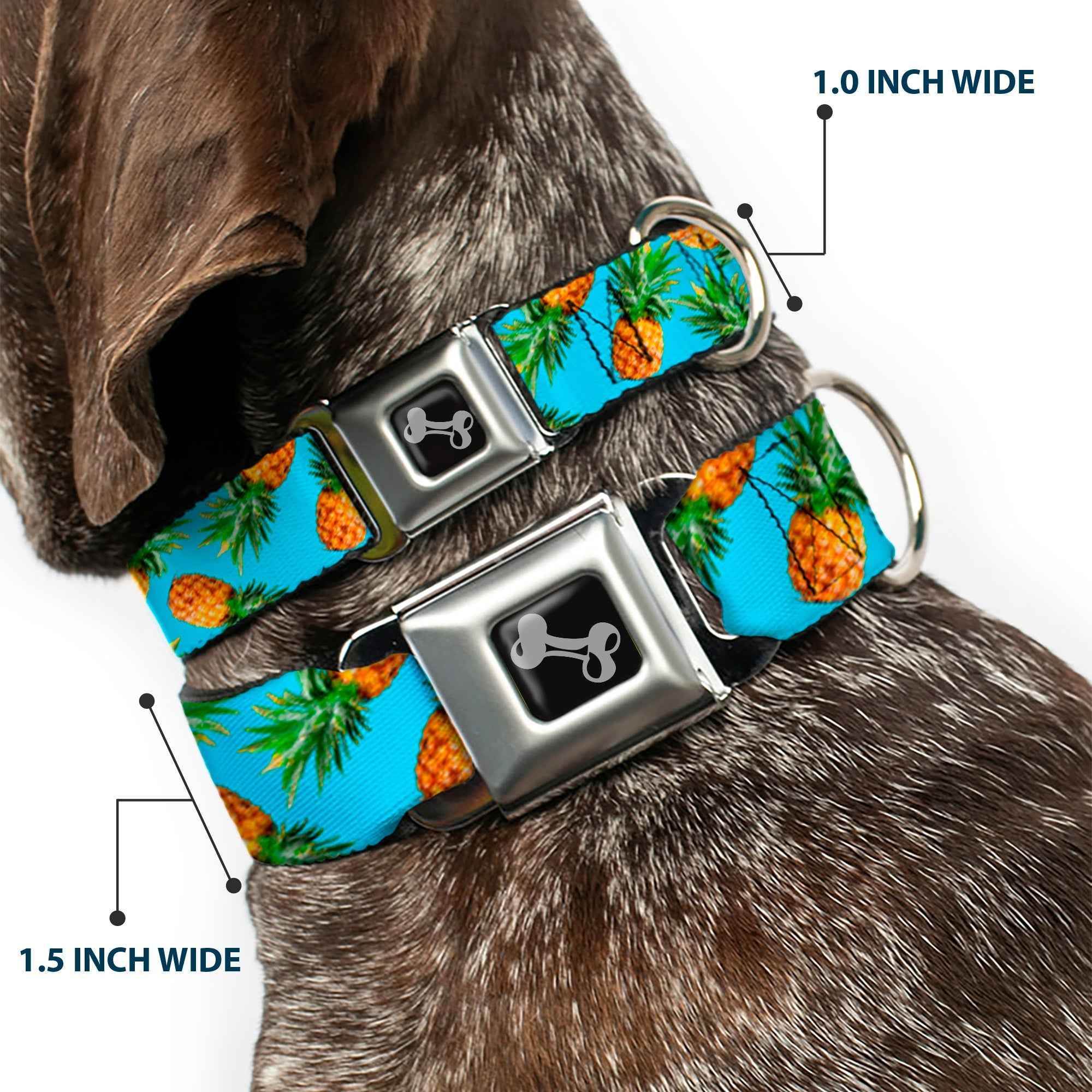 Buckle-Down Vivid Pineapples Scattered Blue Seatbelt Buckle Dog Collar