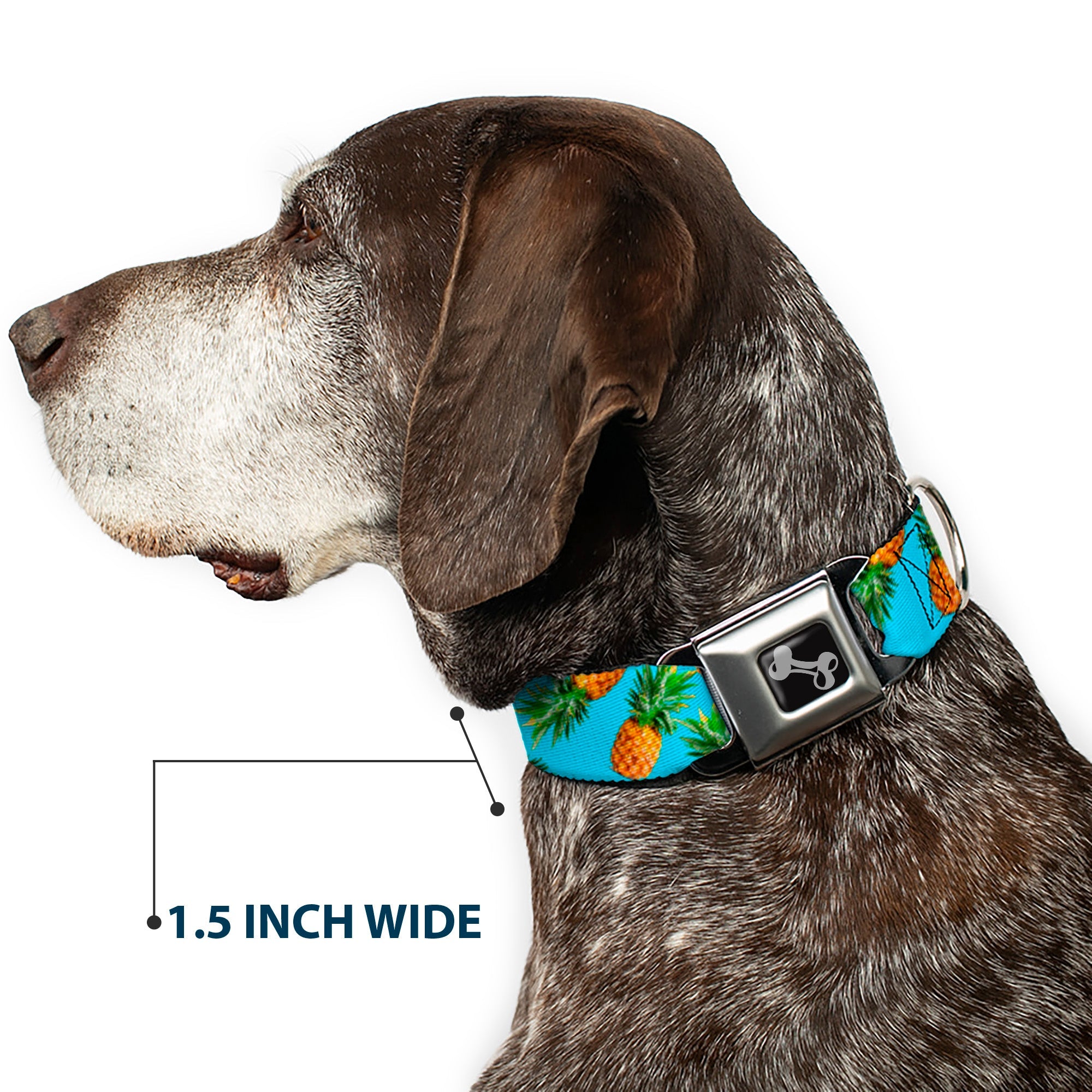 Buckle-Down Vivid Pineapples Scattered Blue Seatbelt Buckle Dog Collar