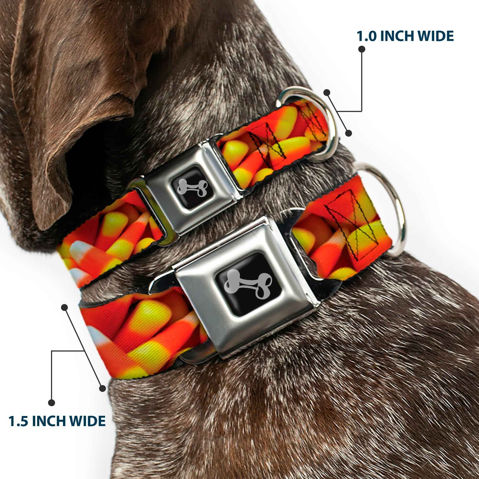 Buckle-Down Dog Bone Black/Silver Seatbelt Buckle Dog Collar - Vivid Candy Corn Stacked