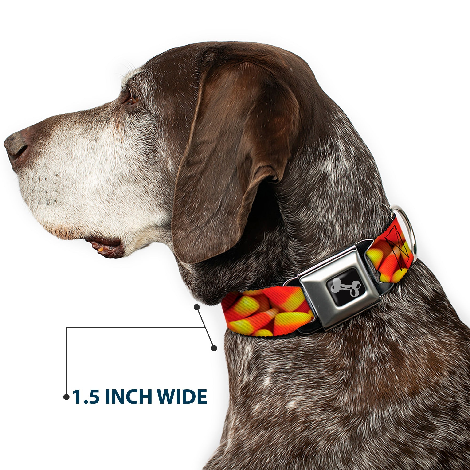 Buckle-Down Dog Bone Black/Silver Seatbelt Buckle Dog Collar - Vivid Candy Corn Stacked