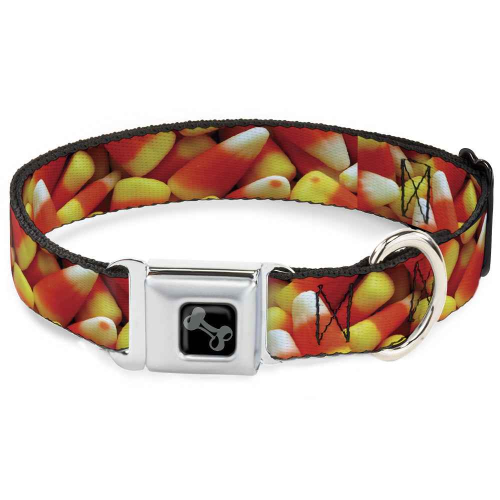 Buckle-Down Dog Bone Black/Silver Seatbelt Buckle Dog Collar - Vivid Candy Corn Stacked