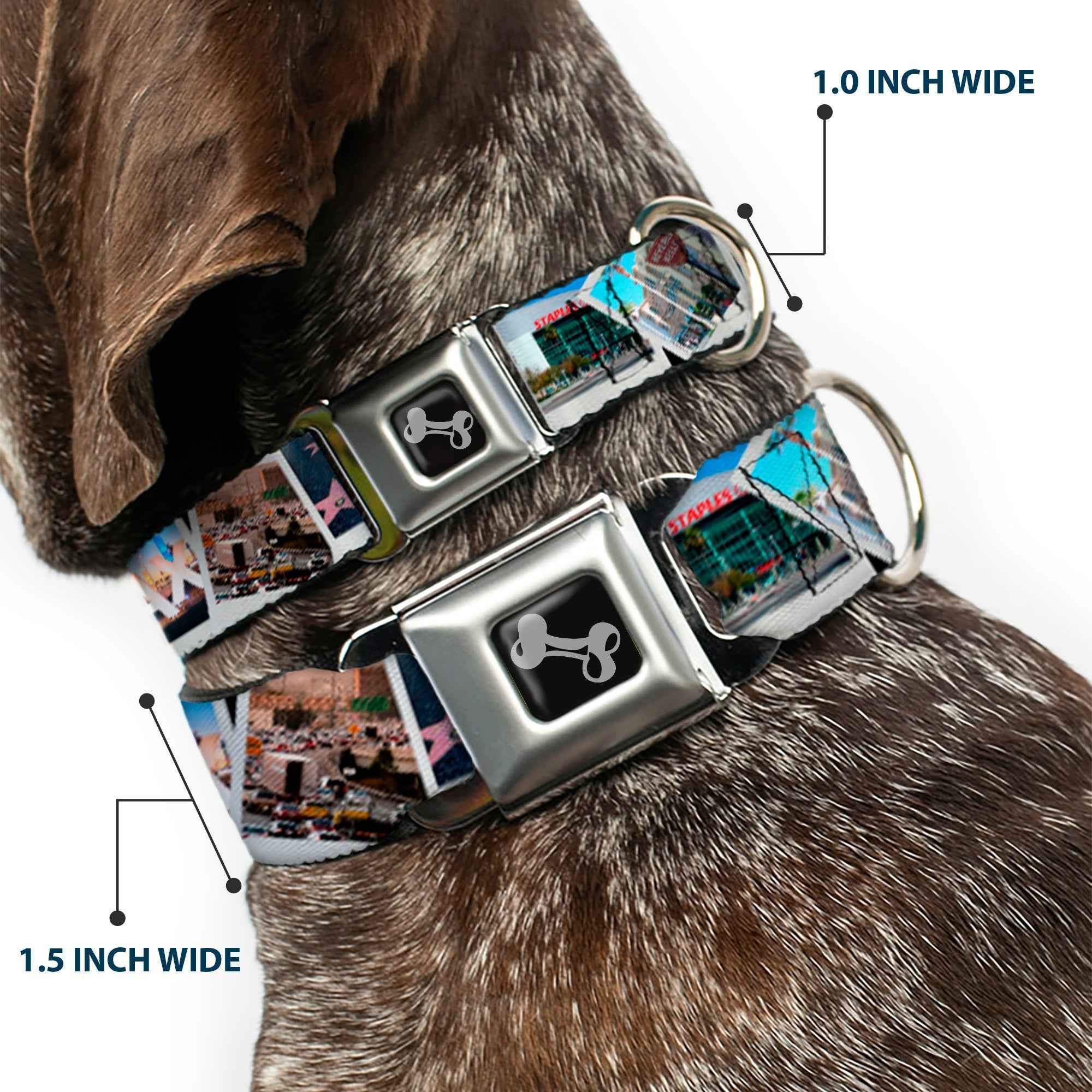 Buckle-Down Vivid Los Angeles Snapshots Stacked Seatbelt Buckle Dog Collar