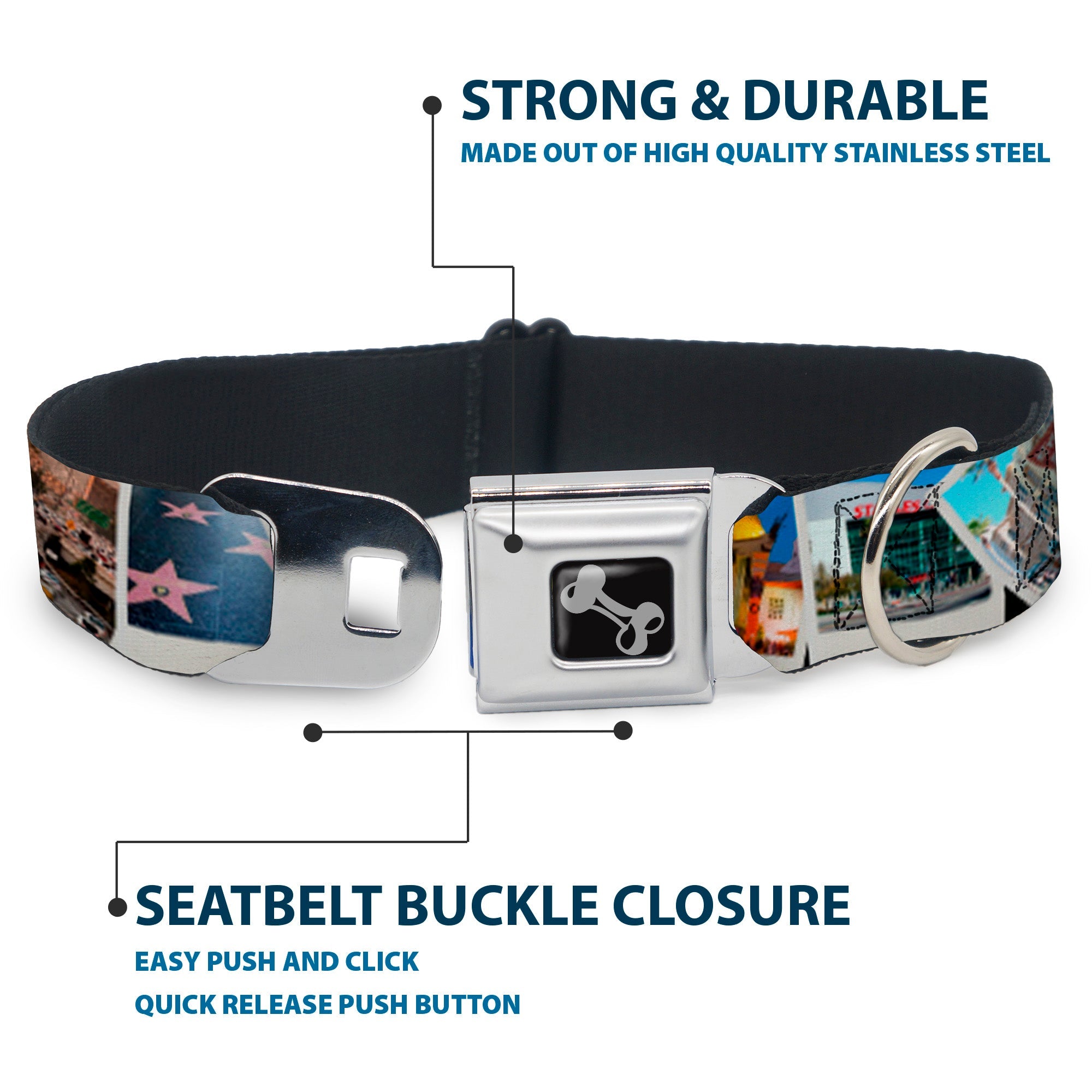 Buckle-Down Vivid Los Angeles Snapshots Stacked Seatbelt Buckle Dog Collar