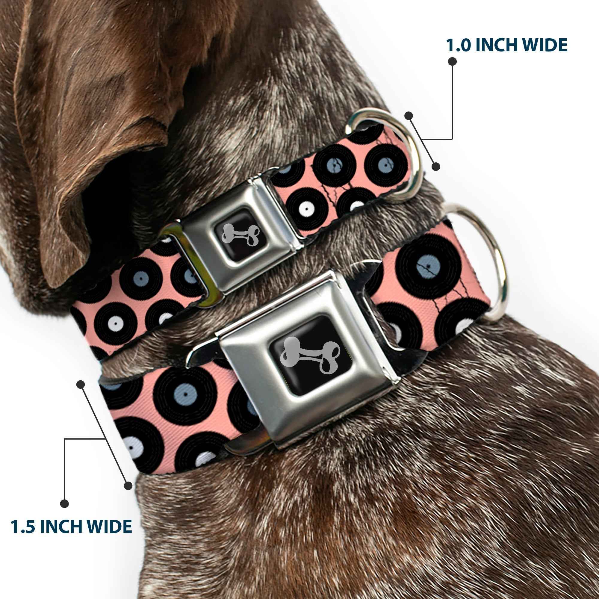Buckle-Down Vinyl Records Tan/Black/Gray/White Seatbelt Buckle Dog Collar
