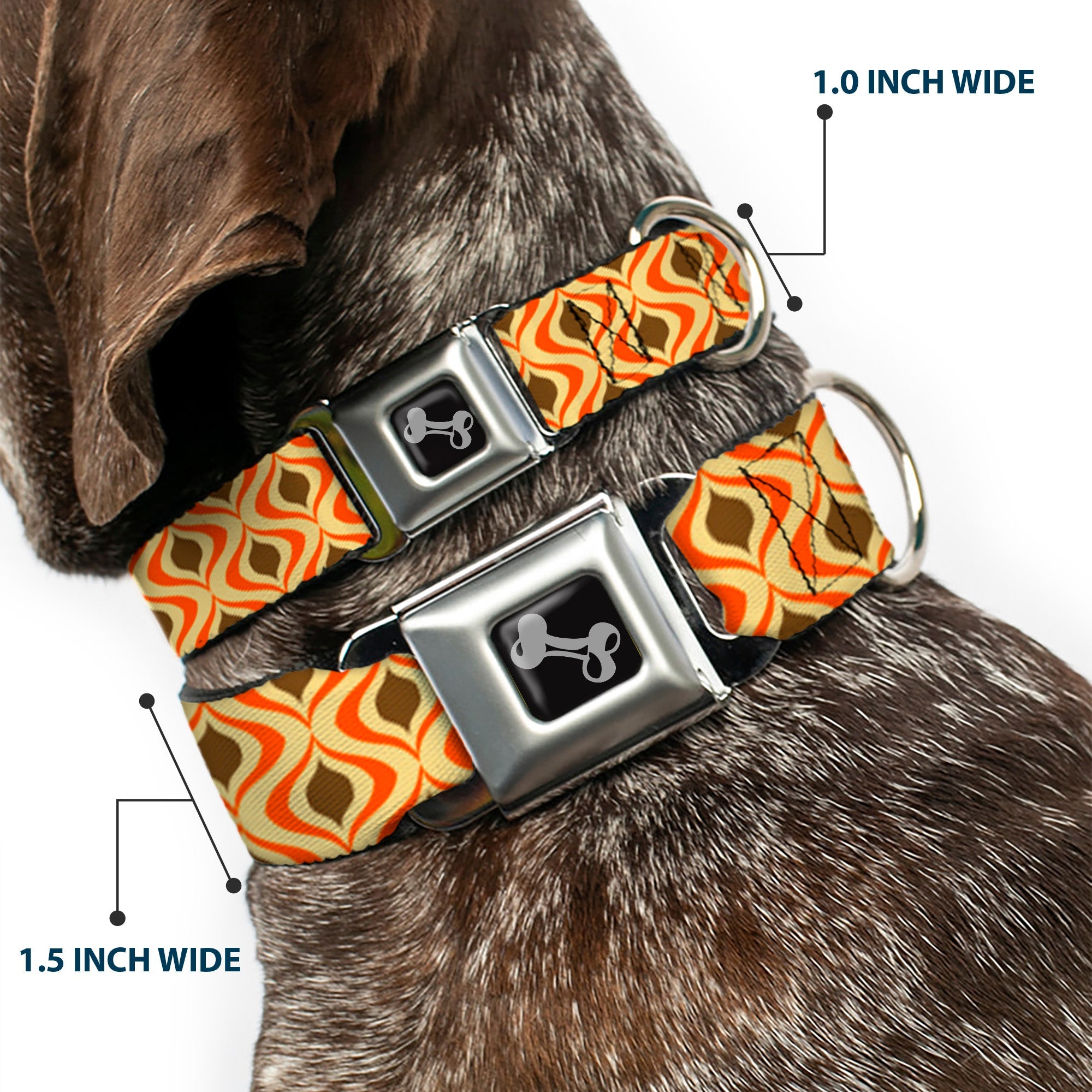 Dog Bone Seatbelt Buckle Collar - Wallpaper1 Ogee Tan/Orange/Brown