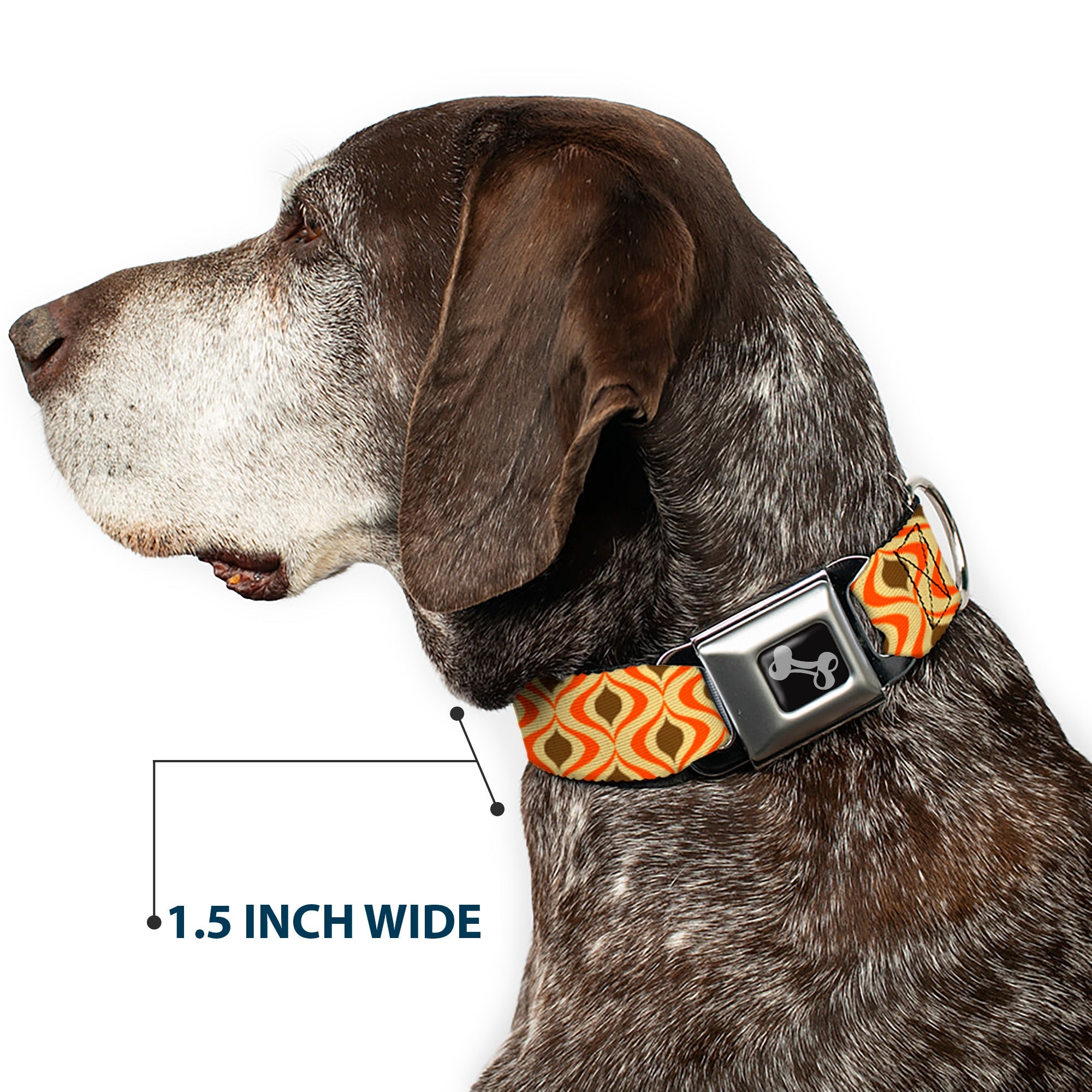Dog Bone Seatbelt Buckle Collar - Wallpaper1 Ogee Tan/Orange/Brown