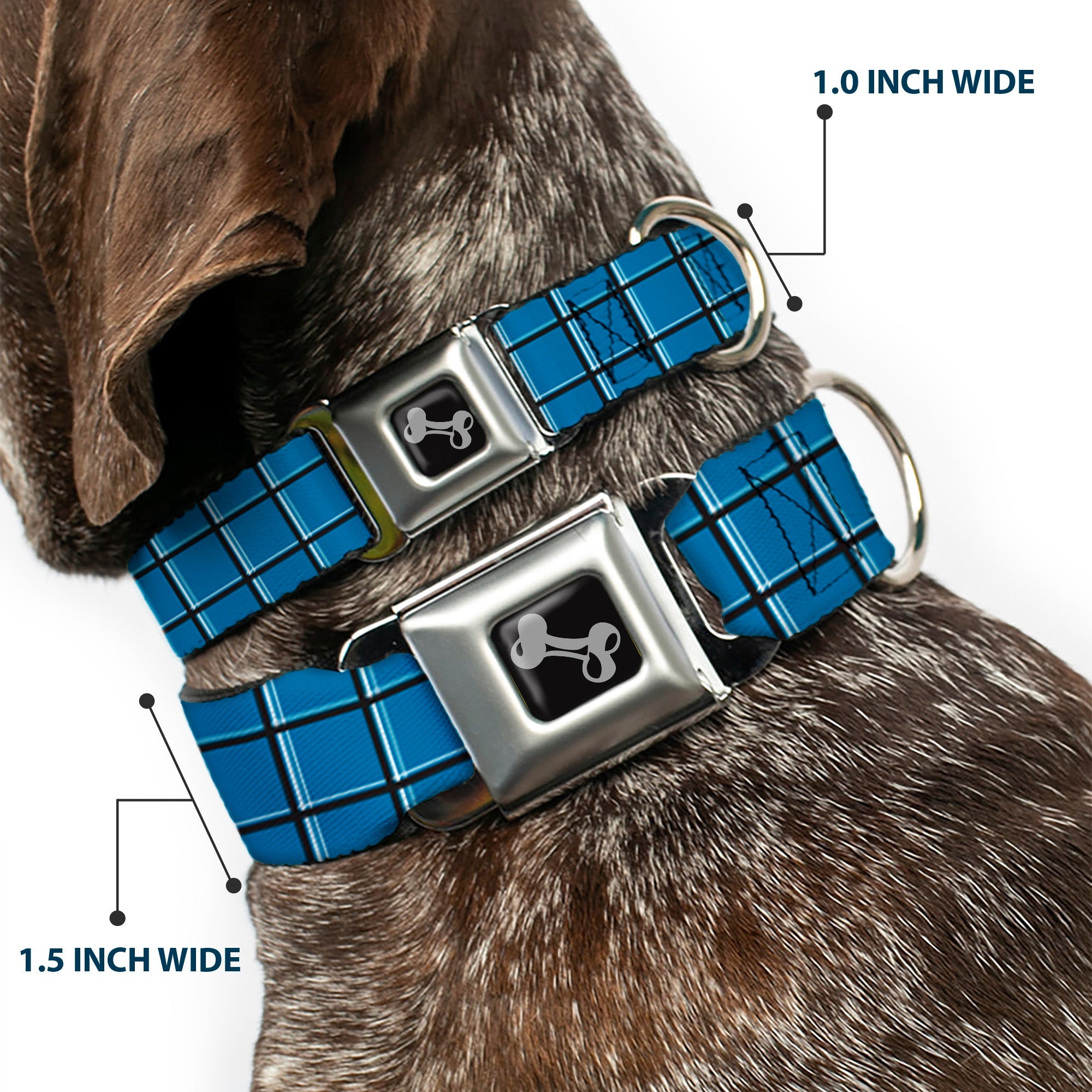 Dog Bone Seatbelt Buckle Collar - Wire Grid Turquoise/Gray/White