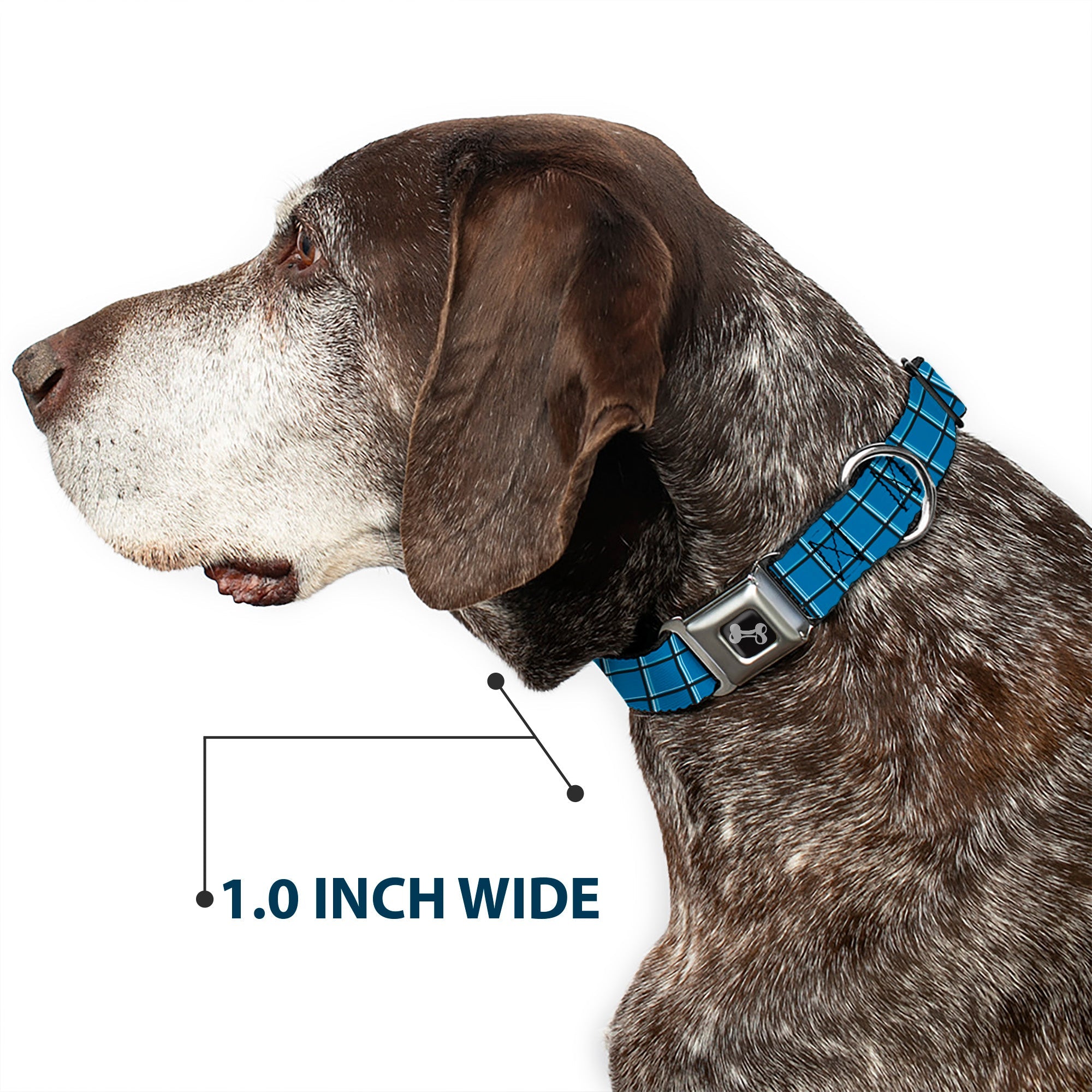 Dog Bone Seatbelt Buckle Collar - Wire Grid Turquoise/Gray/White