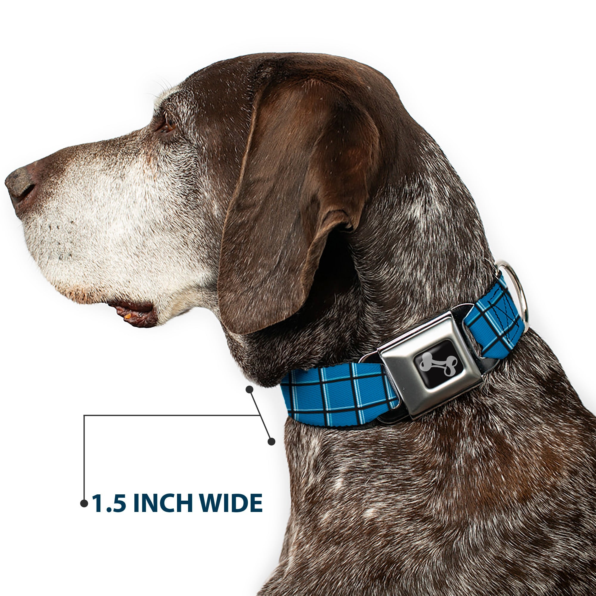 Dog Bone Seatbelt Buckle Collar - Wire Grid Turquoise/Gray/White