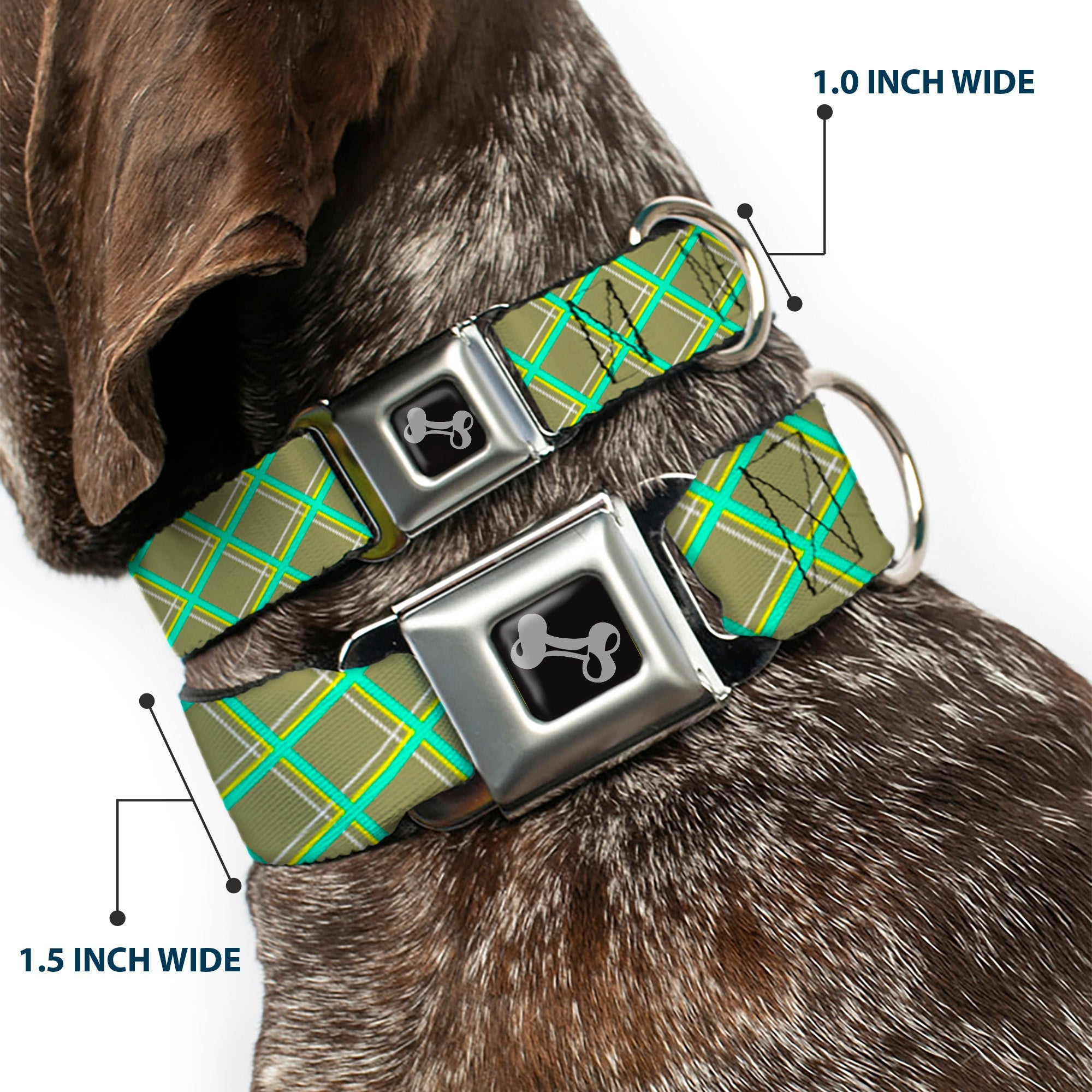 Dog Bone Seatbelt Buckle Collar - Wire Grid Tan/Green/Yellow