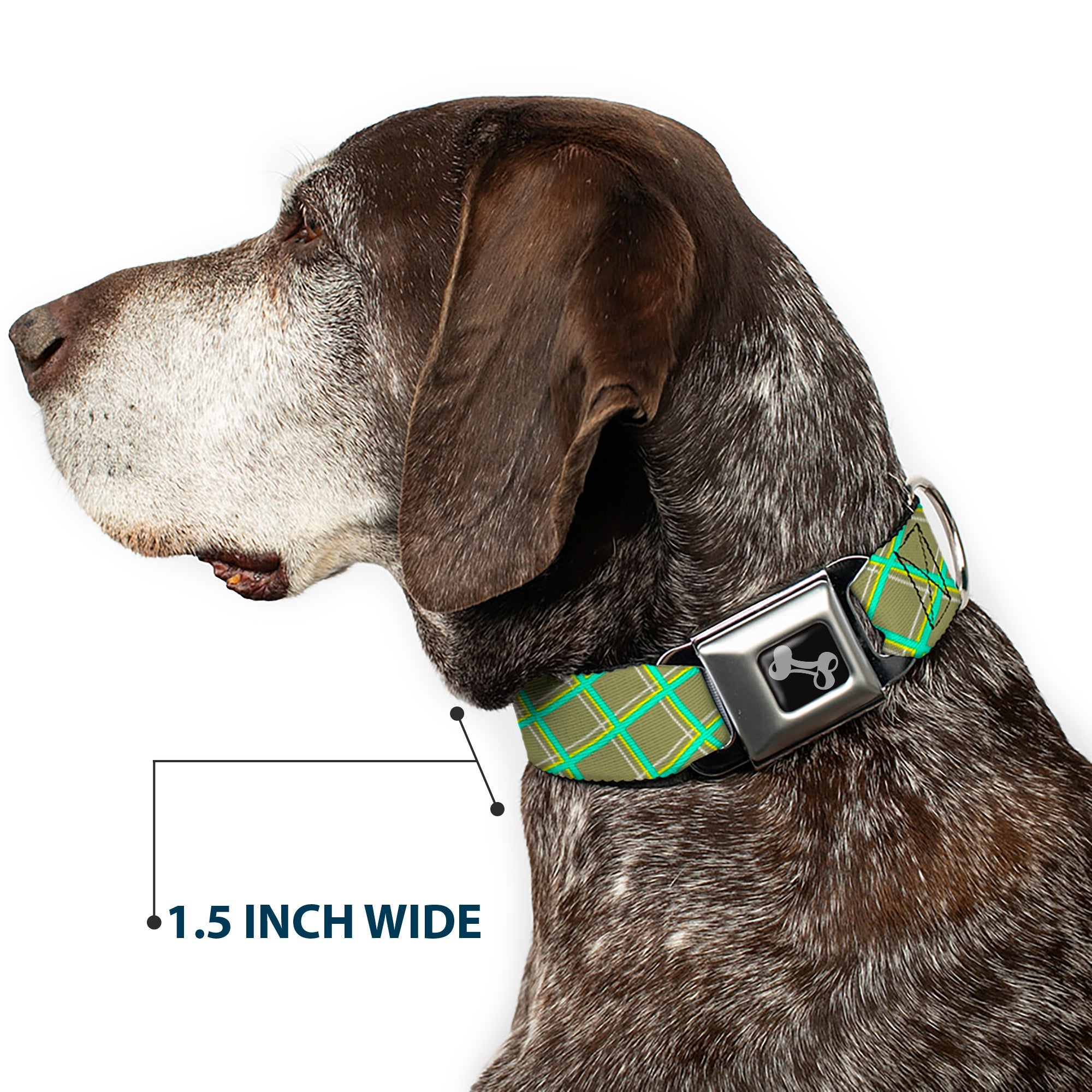 Dog Bone Seatbelt Buckle Collar - Wire Grid Tan/Green/Yellow