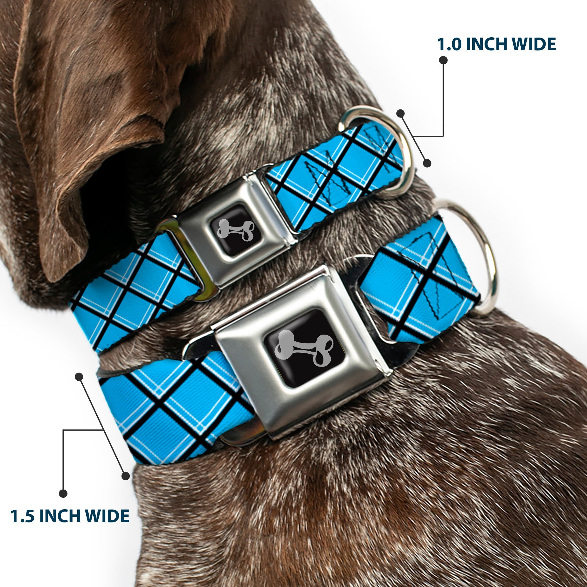 Dog Bone Seatbelt Buckle Collar - Wire Grid Baby Blue Black/White