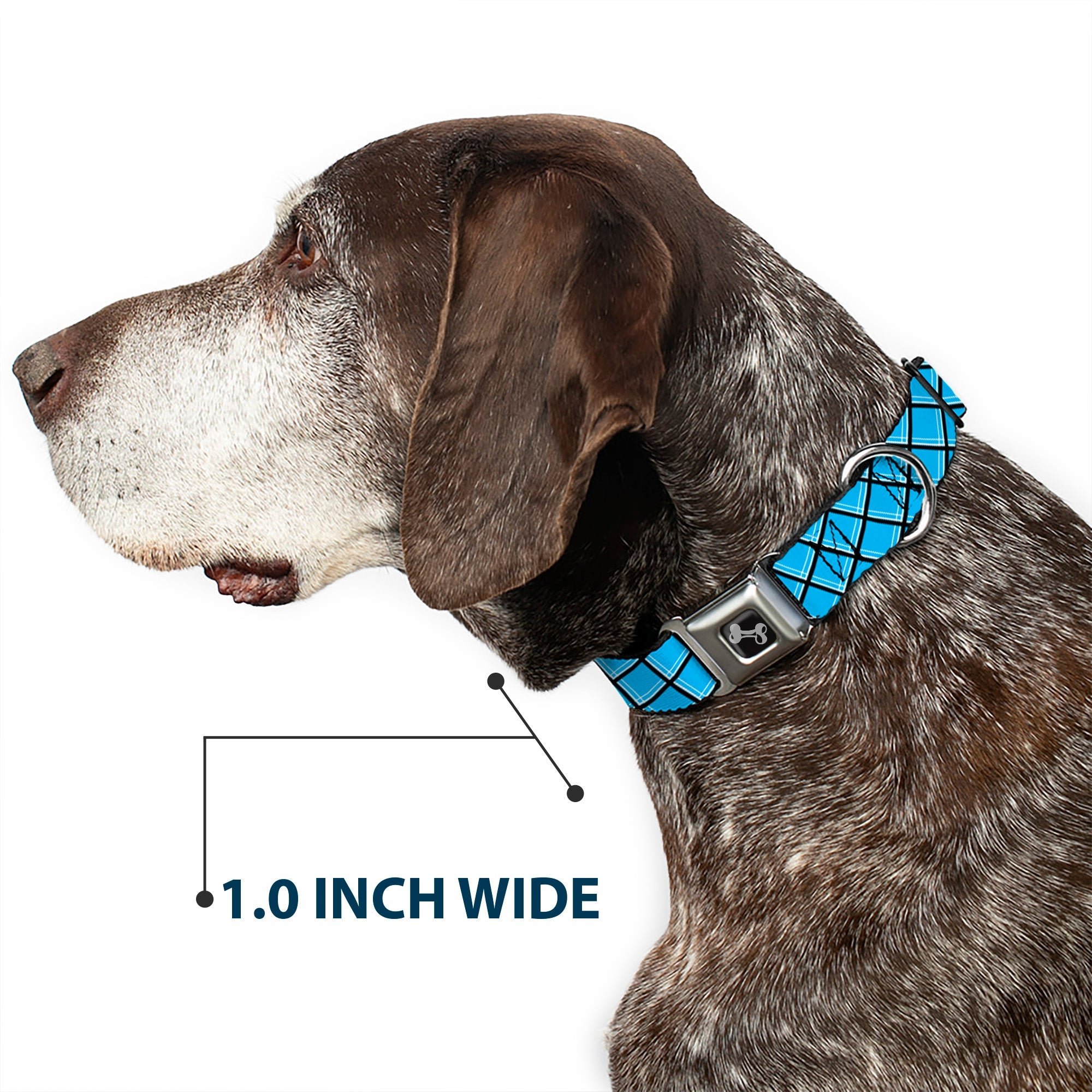 Dog Bone Seatbelt Buckle Collar - Wire Grid Baby Blue Black/White