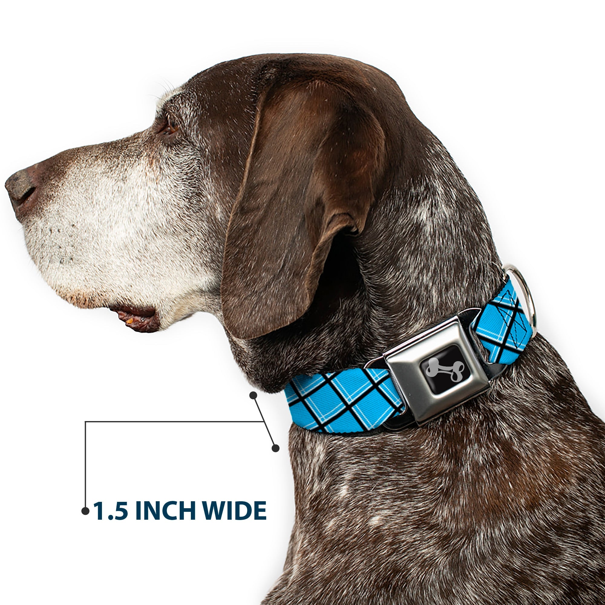 Dog Bone Seatbelt Buckle Collar - Wire Grid Baby Blue Black/White