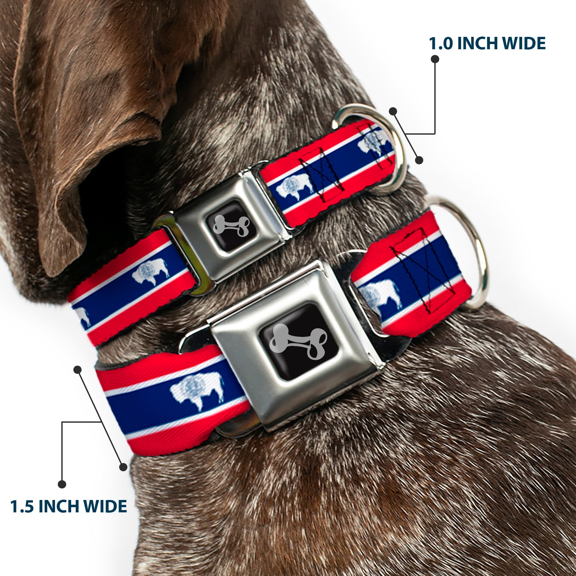 Dog Bone Seatbelt Buckle Collar - Wyoming Flags