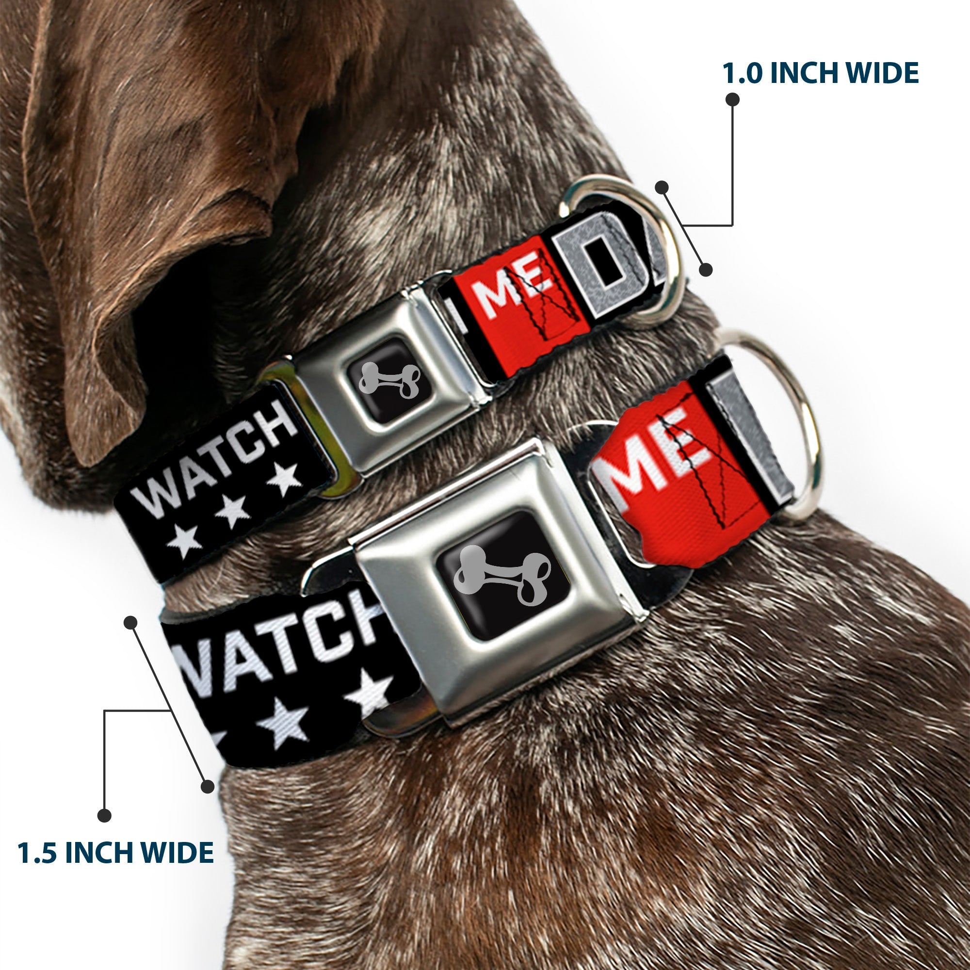Dog Bone Seatbelt Buckle Collar - WATCH ME DAB/Stars Black/Red/White/Crackle Gray