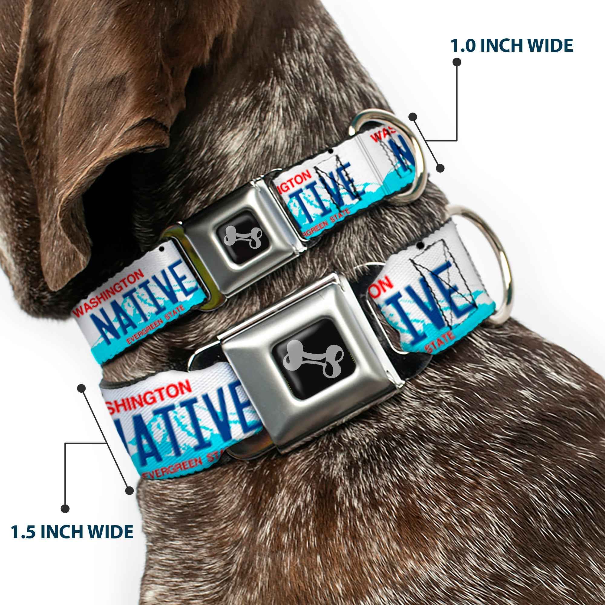 Buckle-Down Washington License Plate Native Seatbelt Buckle Dog Collar