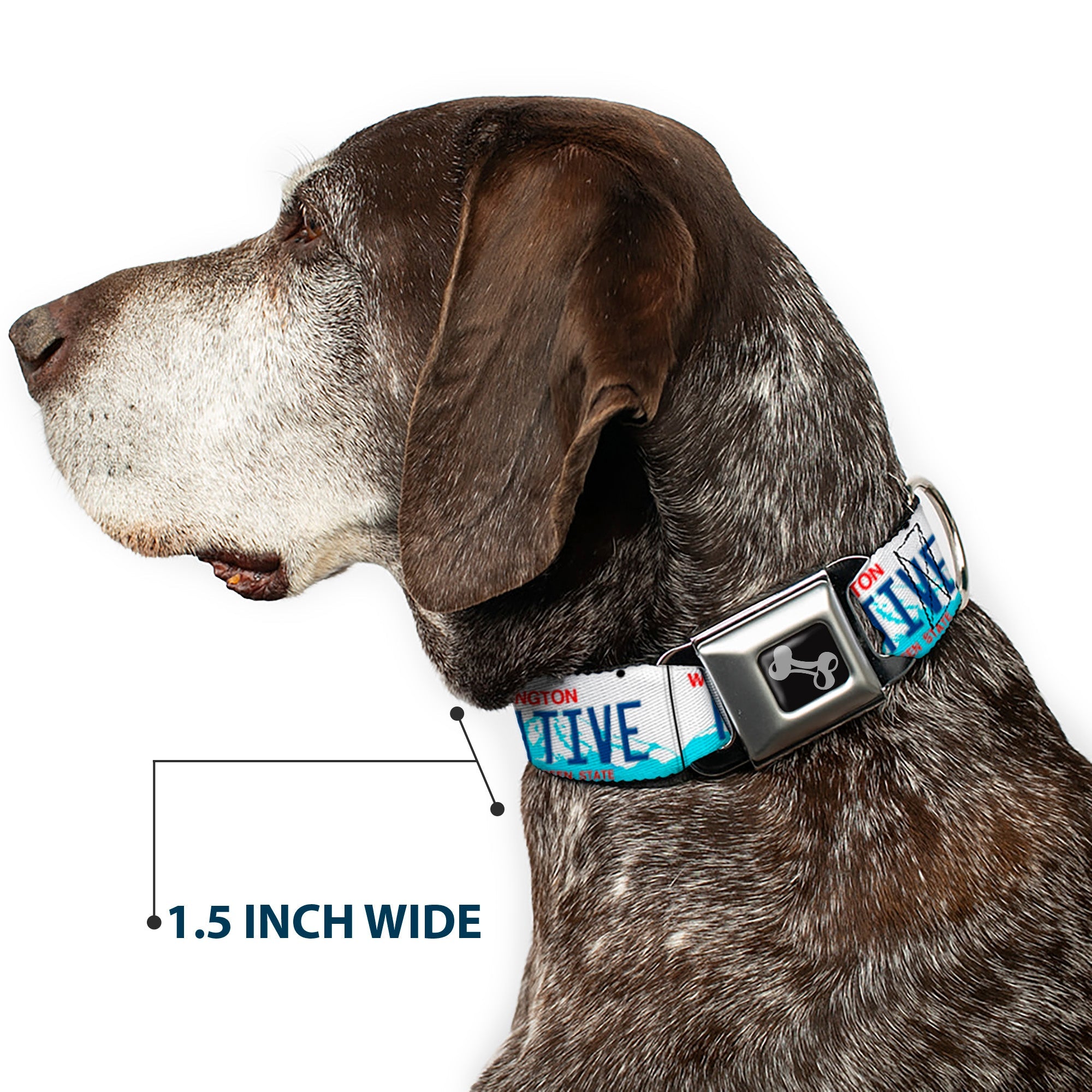 Buckle-Down Washington License Plate Native Seatbelt Buckle Dog Collar