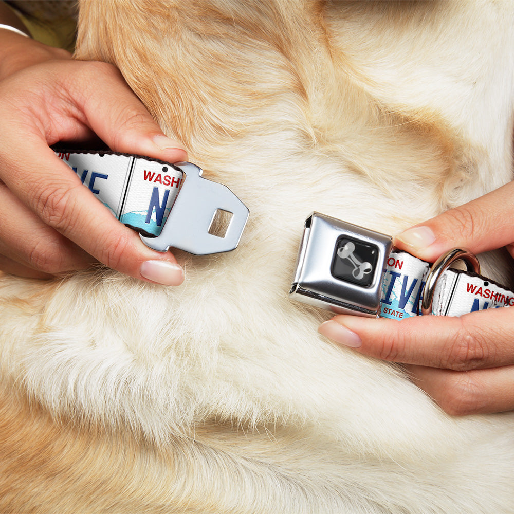 Buckle-Down Washington License Plate Native Seatbelt Buckle Dog Collar