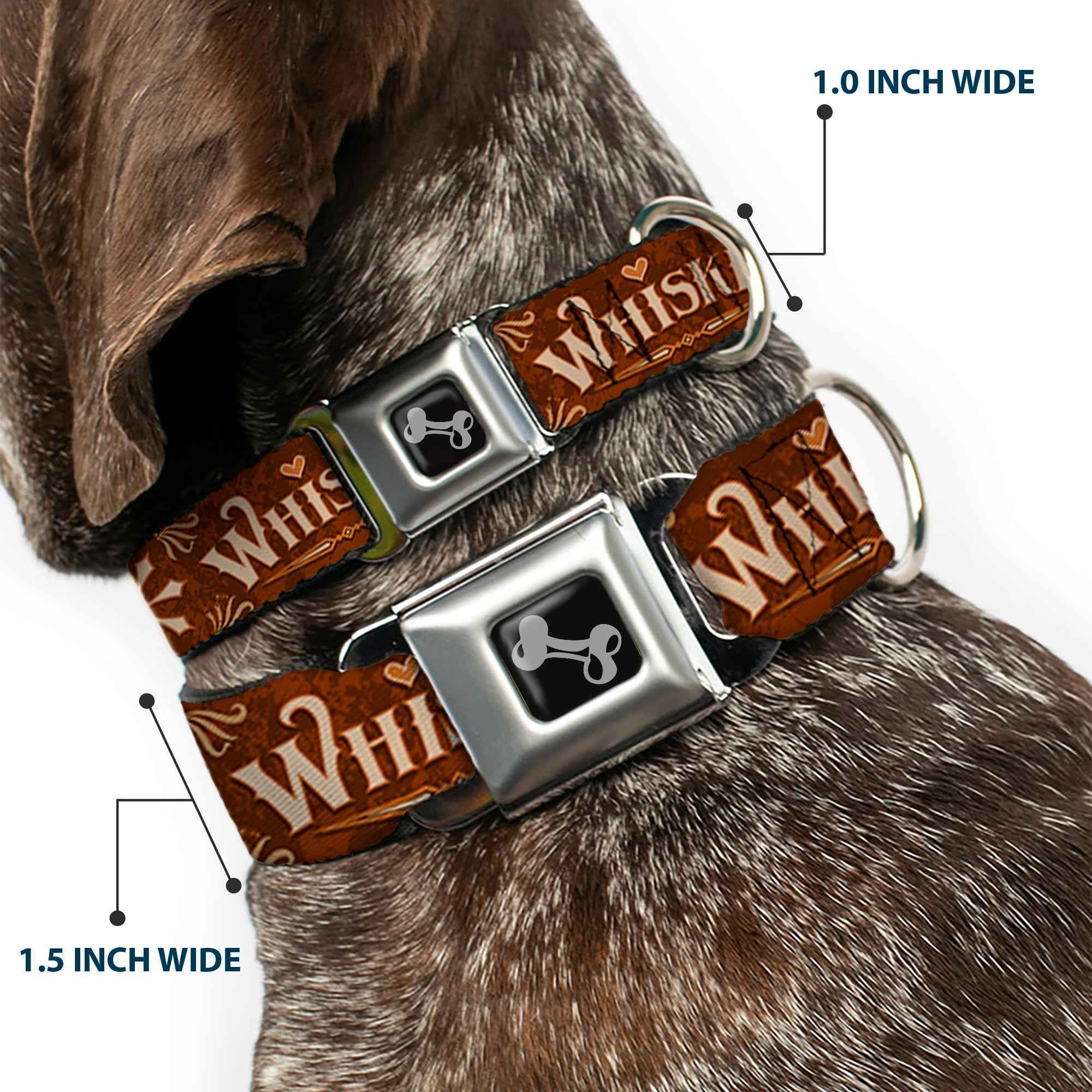 Buckle-Down Dog Bone Black/Silver Seatbelt Buckle Dog Collar - Western Whiskey Heart Repeat Browns/Tan