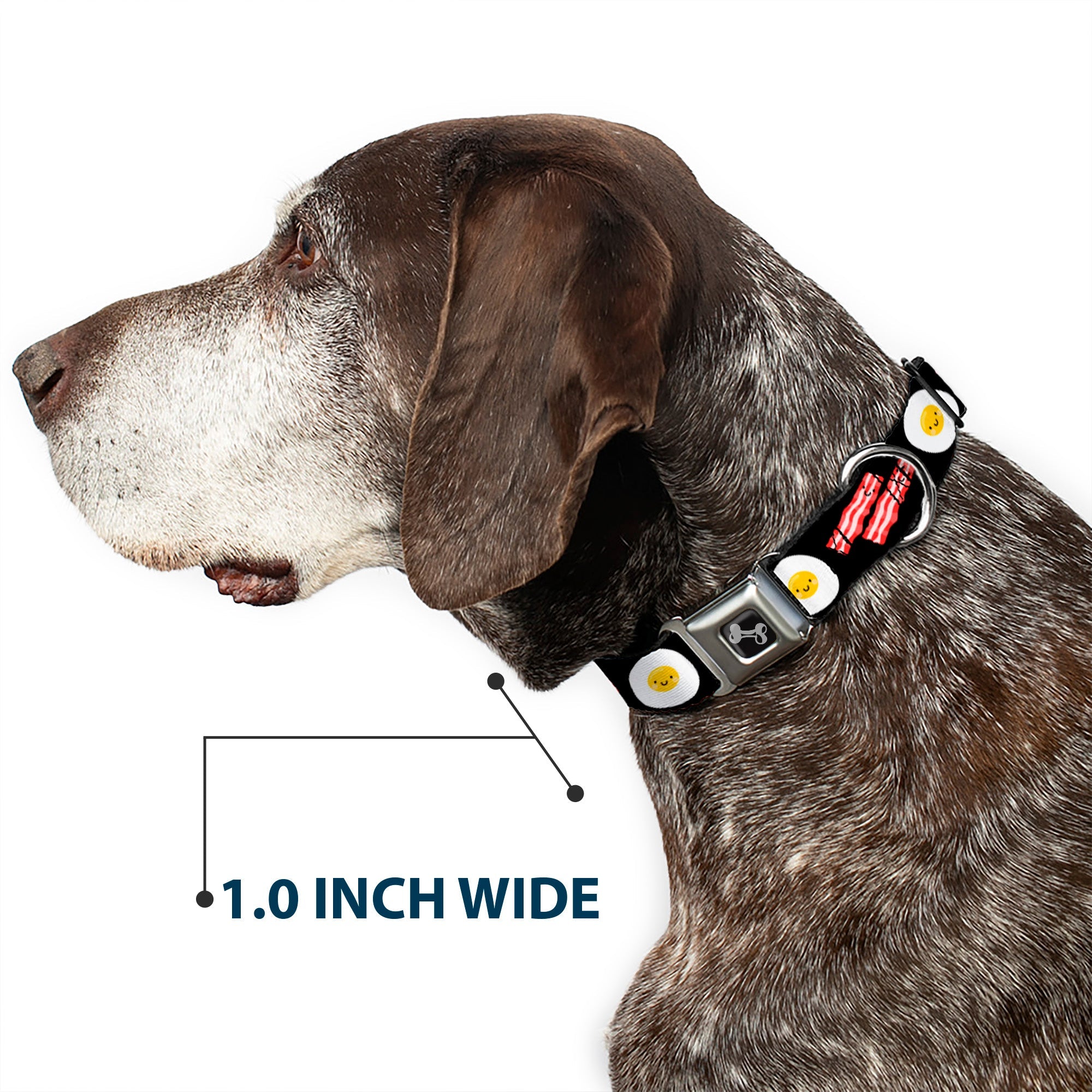 Dog Bone Seatbelt Buckle Collar - Bacon & Eggs Black