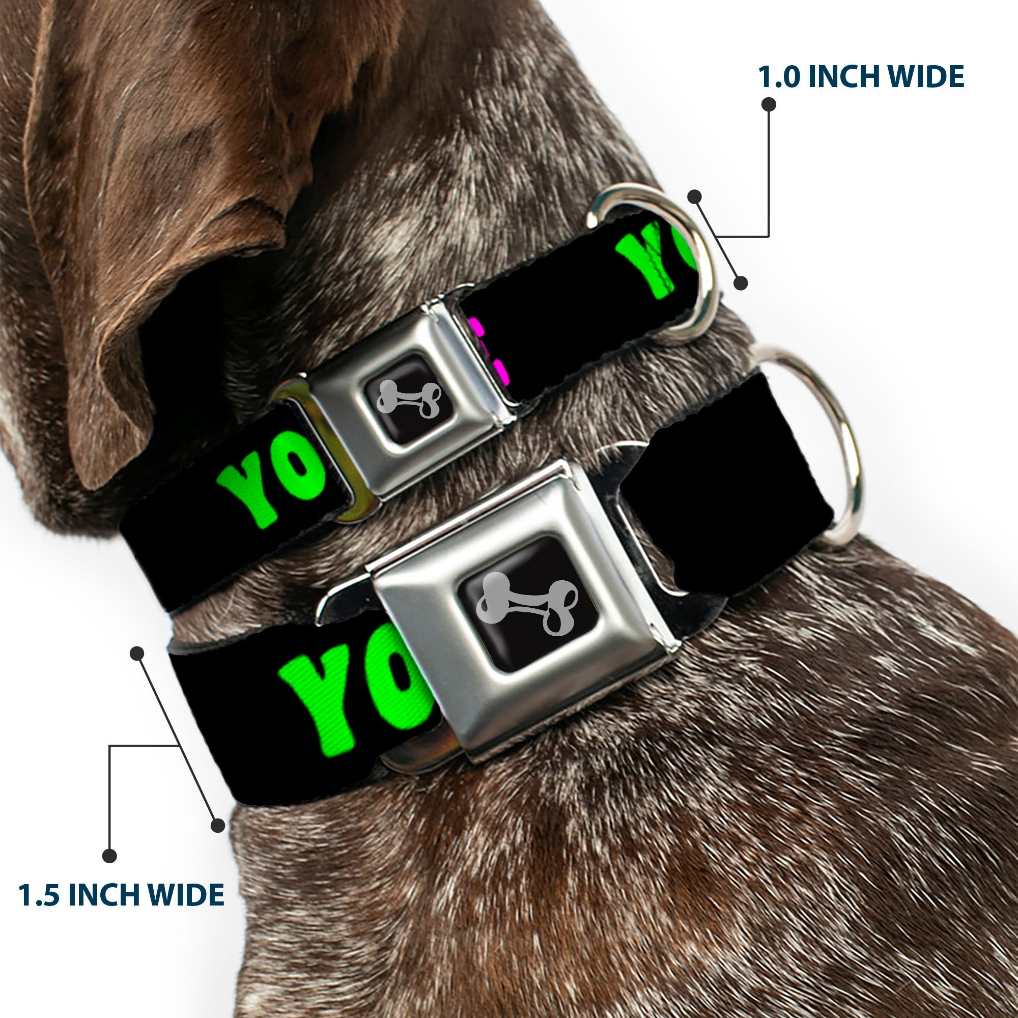 Dog Bone Seatbelt Buckle Collar - YOUR BOYFRIEND LOVES ME w/Kiss Black/Neon