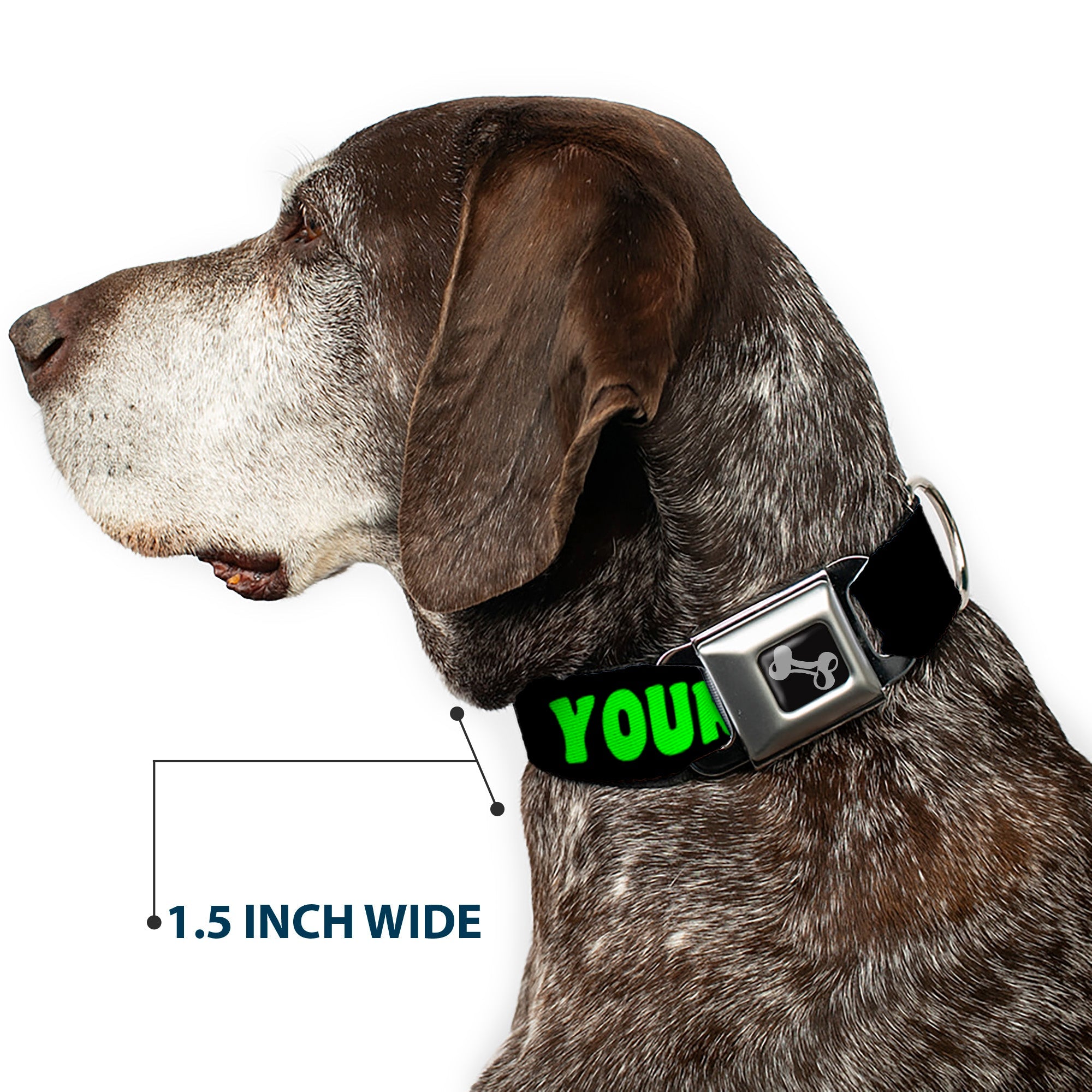 Dog Bone Seatbelt Buckle Collar - YOUR BOYFRIEND LOVES ME w/Kiss Black/Neon