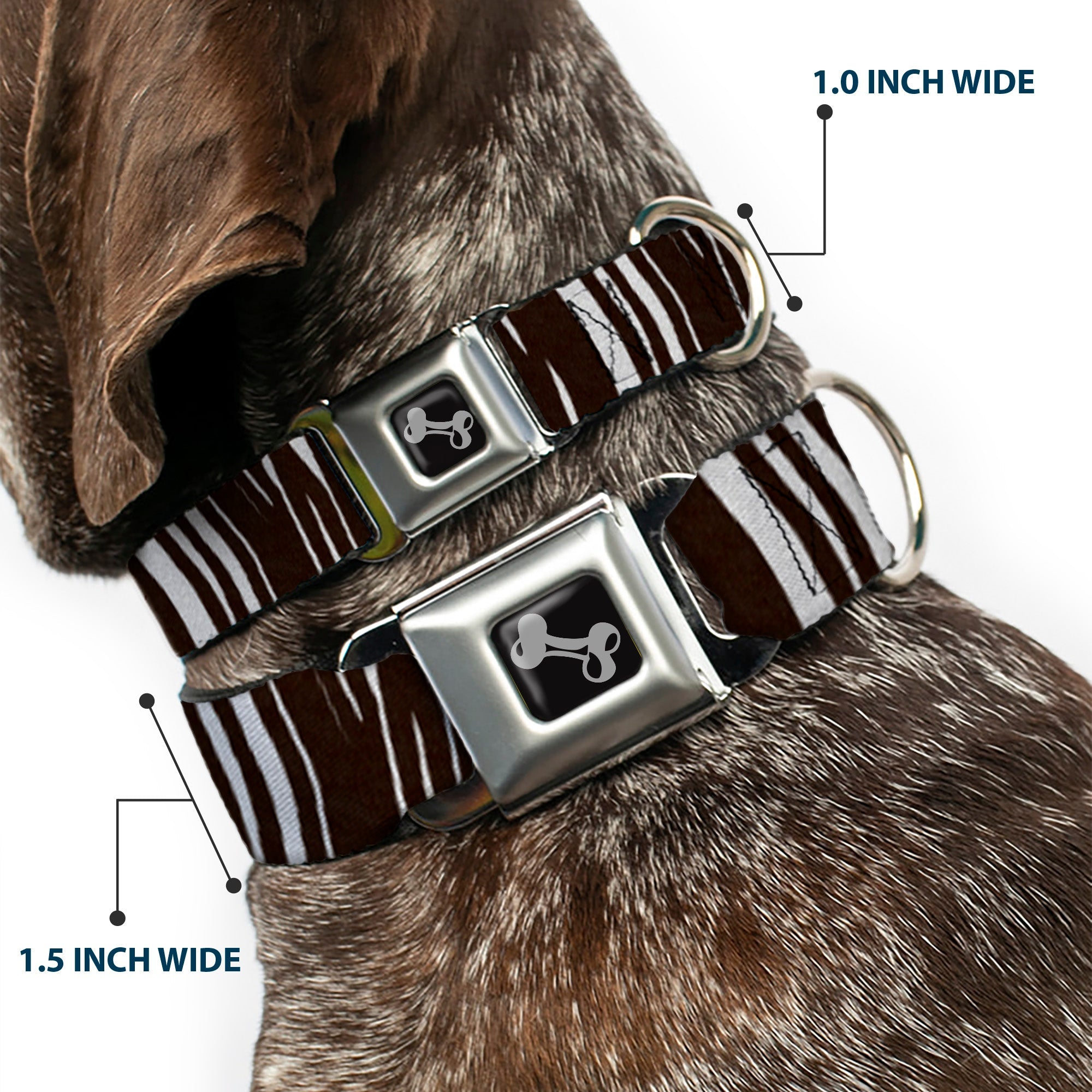 Dog Bone Seatbelt Buckle Collar - Zebra