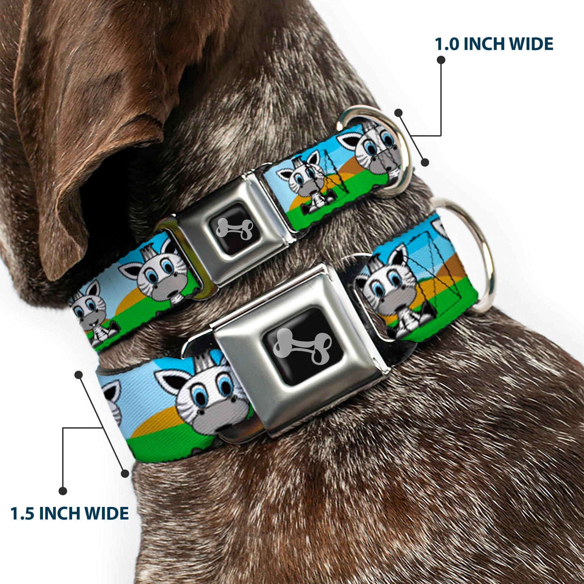 Dog Bone Seatbelt Buckle Collar - Zebra Cartoon