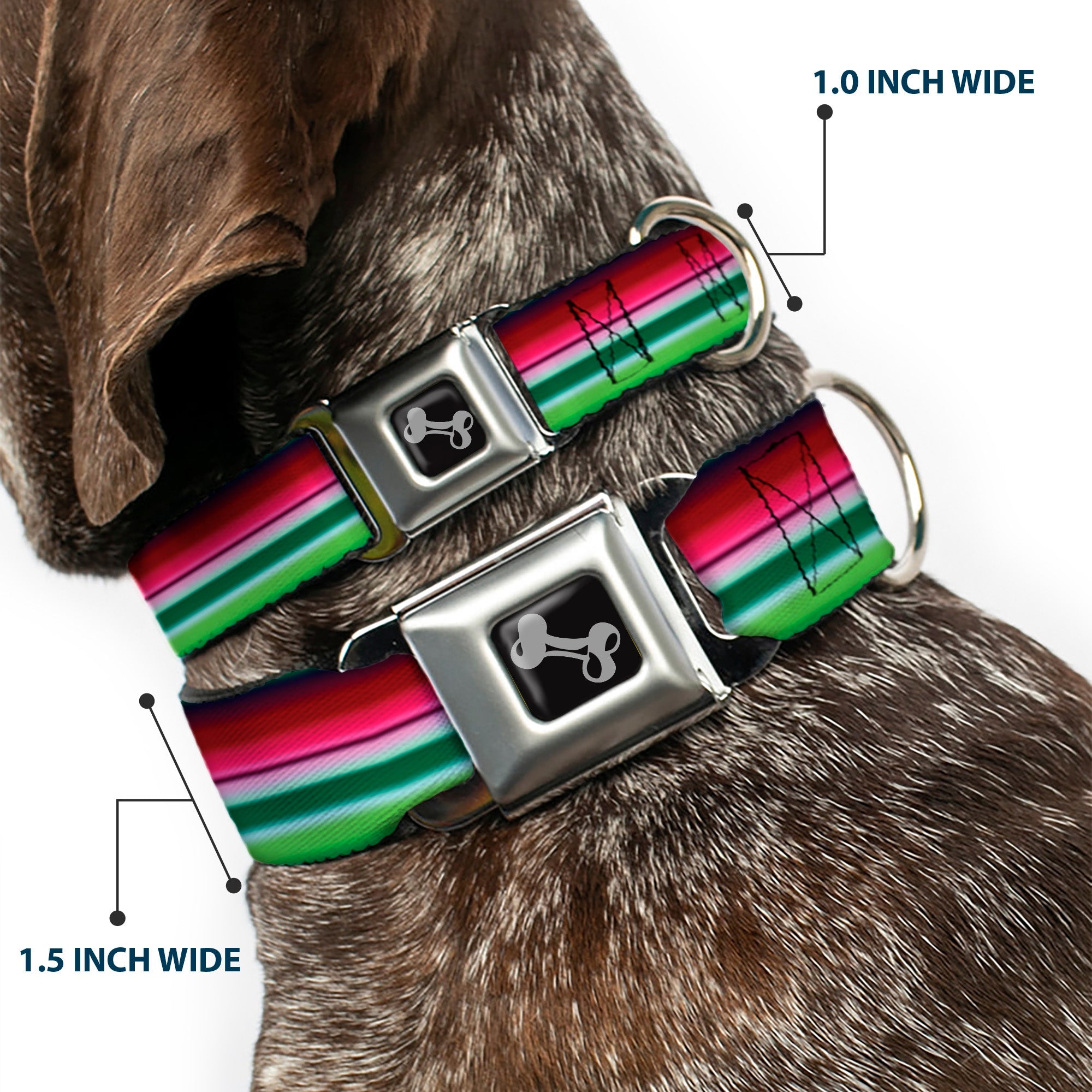 Dog Bone Seatbelt Buckle Collar - Zarape1 Horizontal Red/White/Green