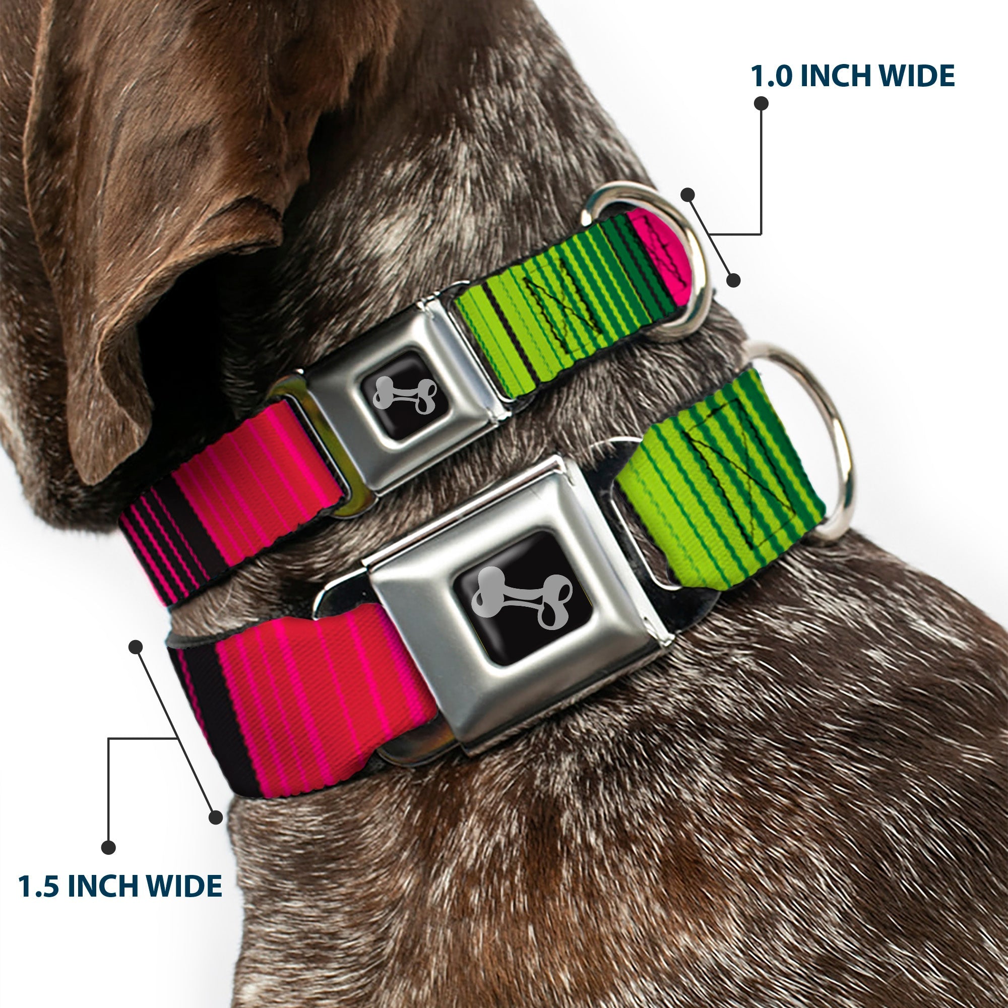 Dog Bone Seatbelt Buckle Collar - Zarape7 Vertical Pinks/Blues/Greens/Black