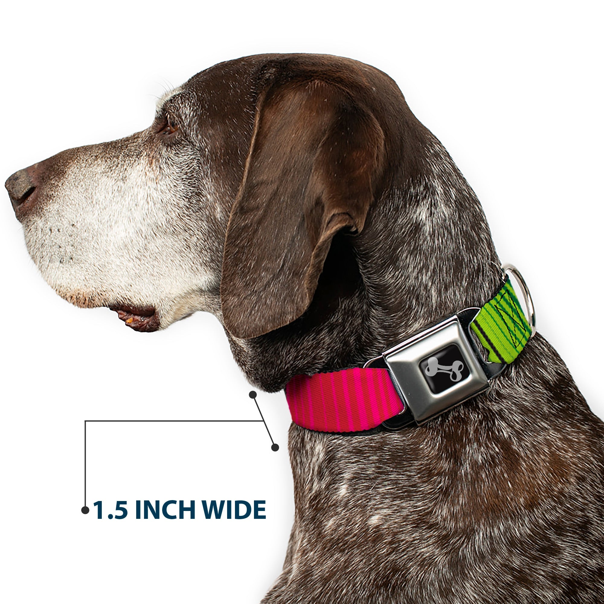 Dog Bone Seatbelt Buckle Collar - Zarape7 Vertical Pinks/Blues/Greens/Black