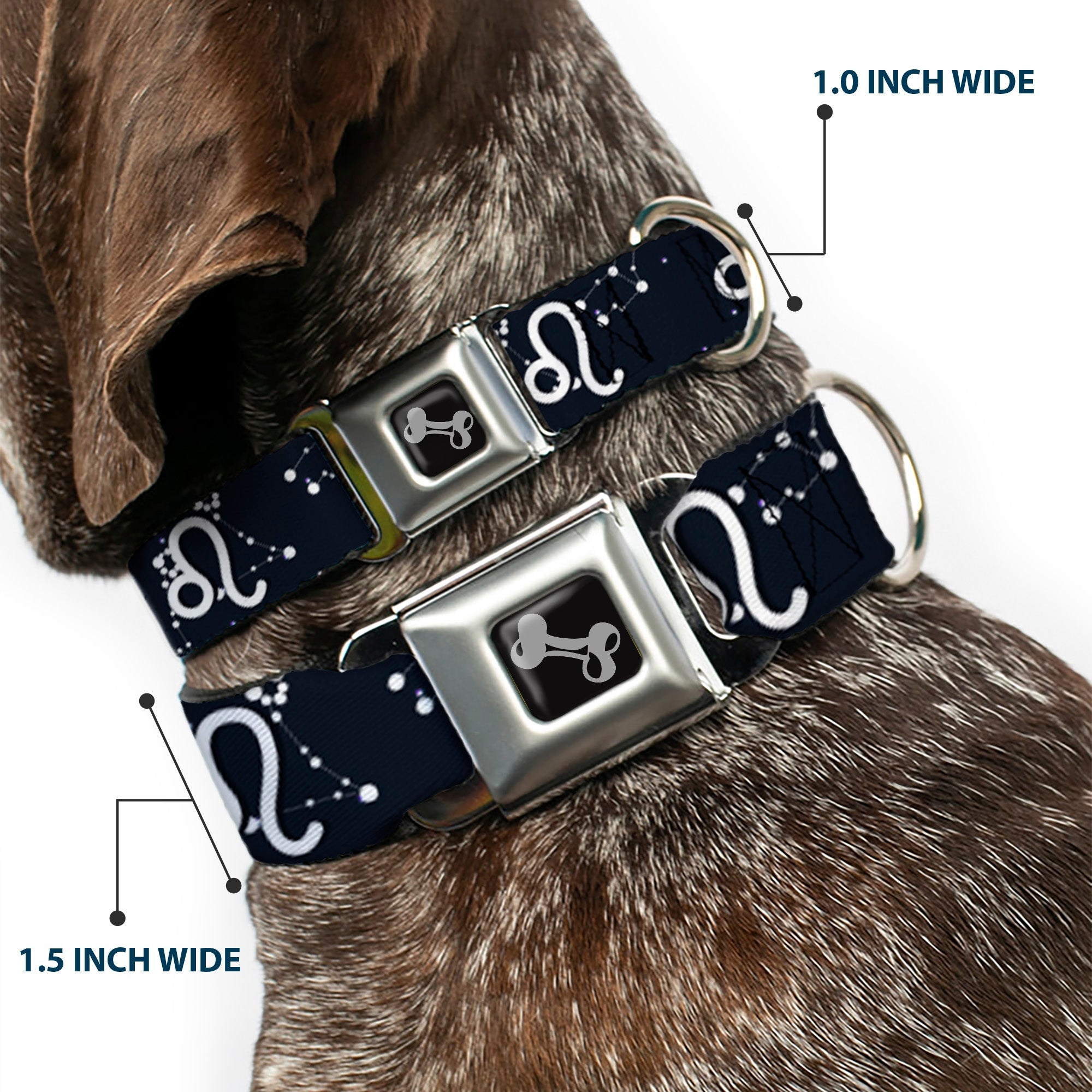 Dog Bone Seatbelt Buckle Collar - Zodiac Leo Symbol/Constellations Black/White