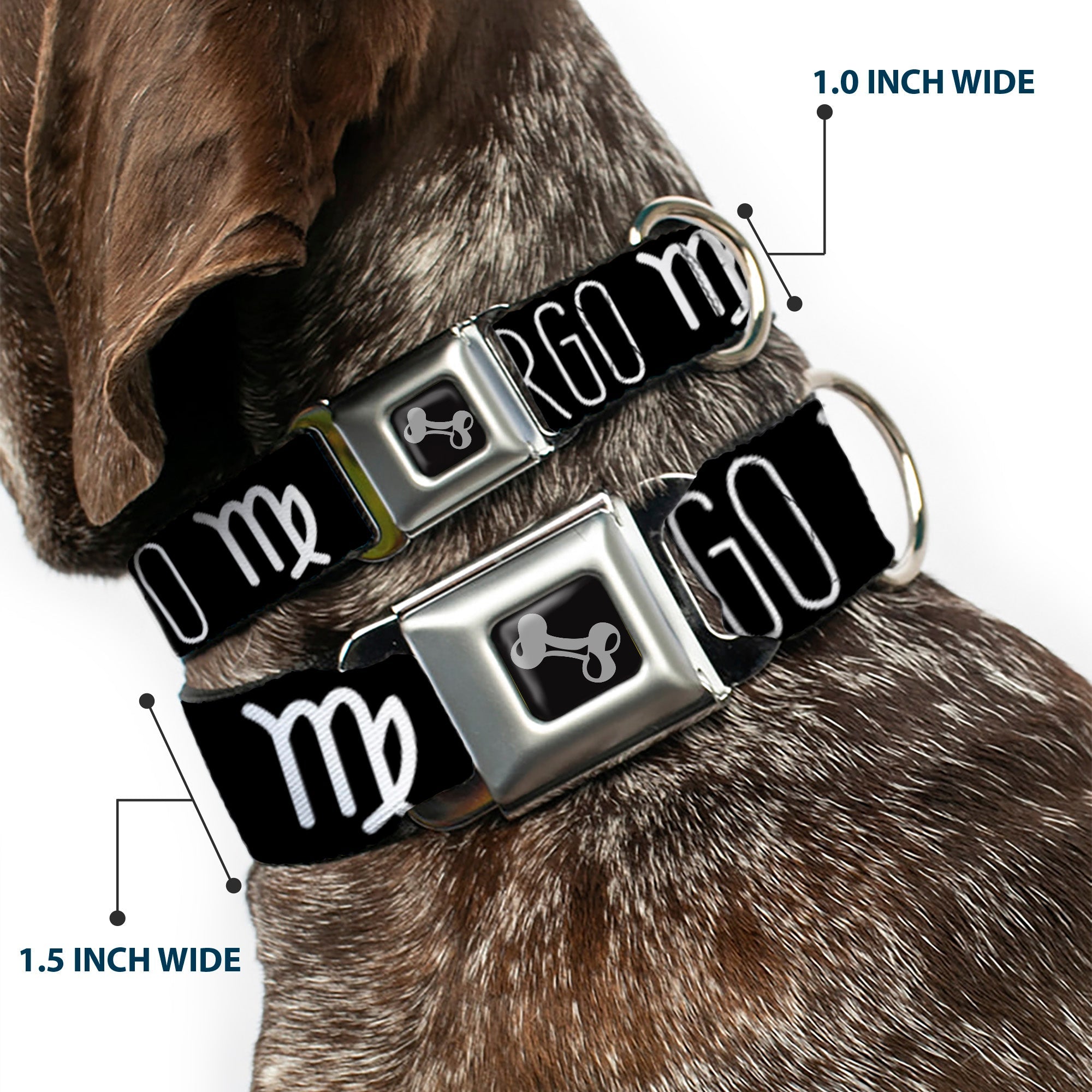 Dog Bone Seatbelt Buckle Collar - Zodiac VIRGO/Symbol Black/White