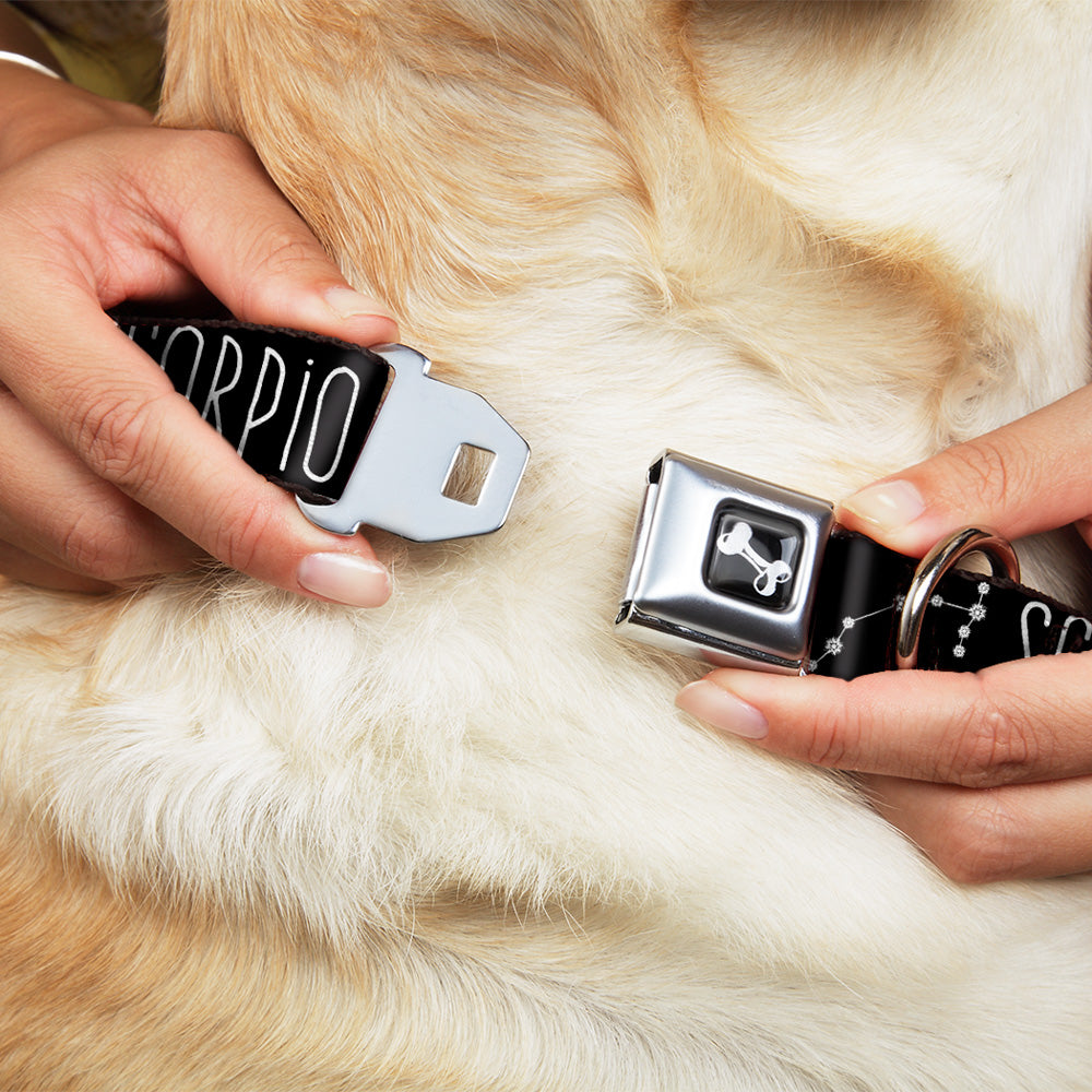 Dog Bone Seatbelt Buckle Collar - Zodiac SCORPIO/Constellation Black/White