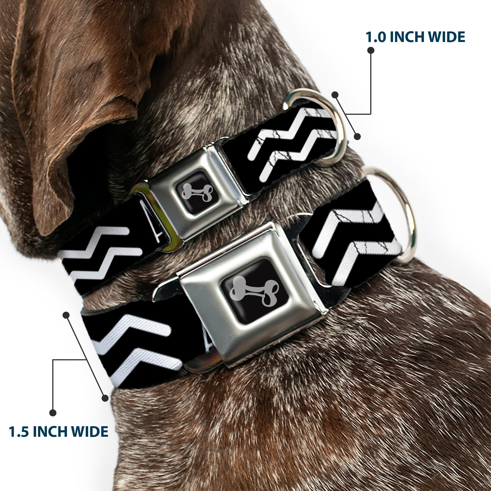 Dog Bone Seatbelt Buckle Collar - Zodiac AQUARIUS/Symbol Black/White