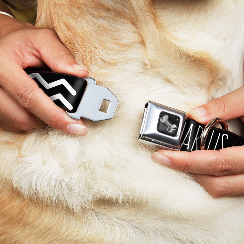 Dog Bone Seatbelt Buckle Collar - Zodiac AQUARIUS/Symbol Black/White