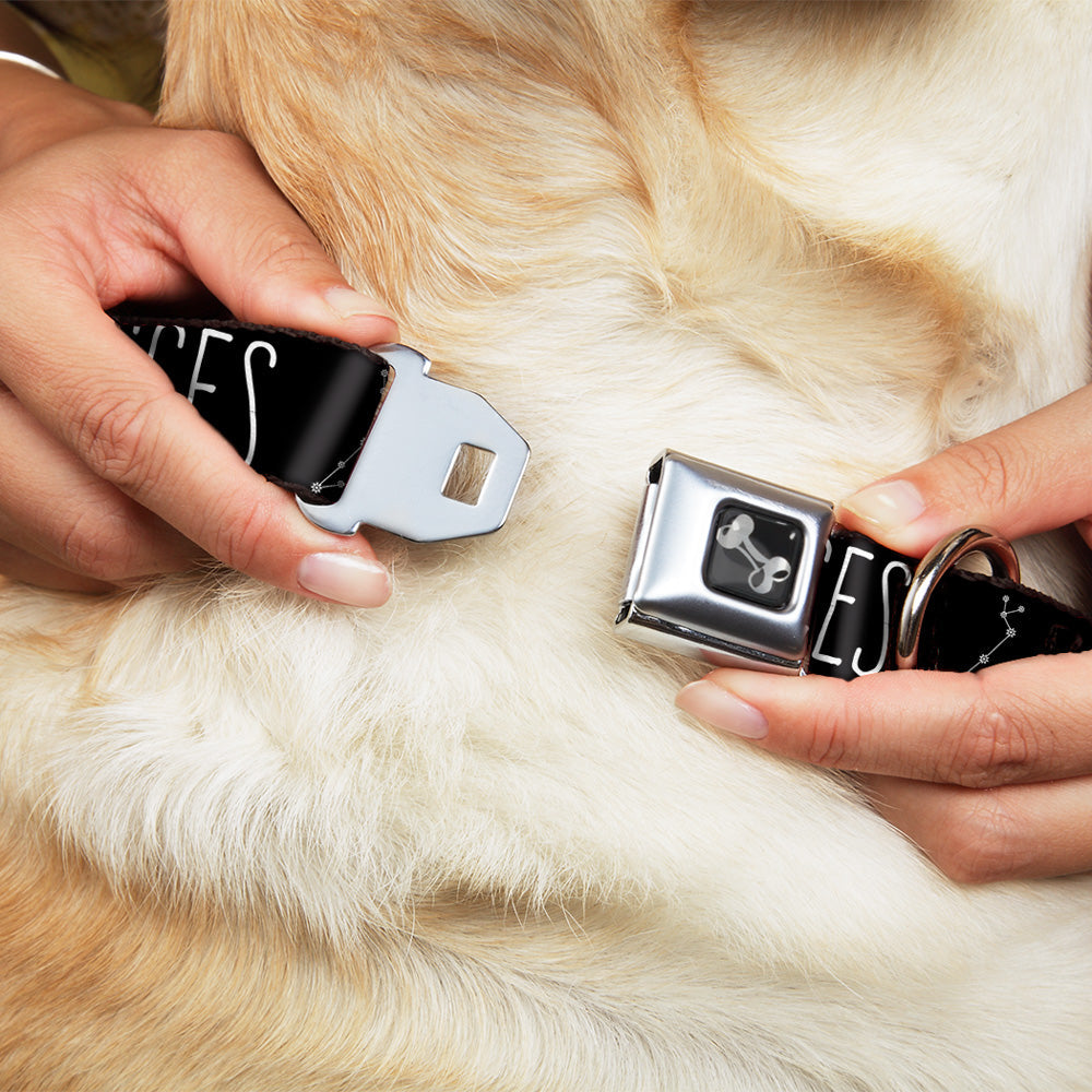 Buckle-Down Dog Bone Black/Silver Seatbelt Buckle Dog Collar - Zodiac Pisces/Constellation Black/White