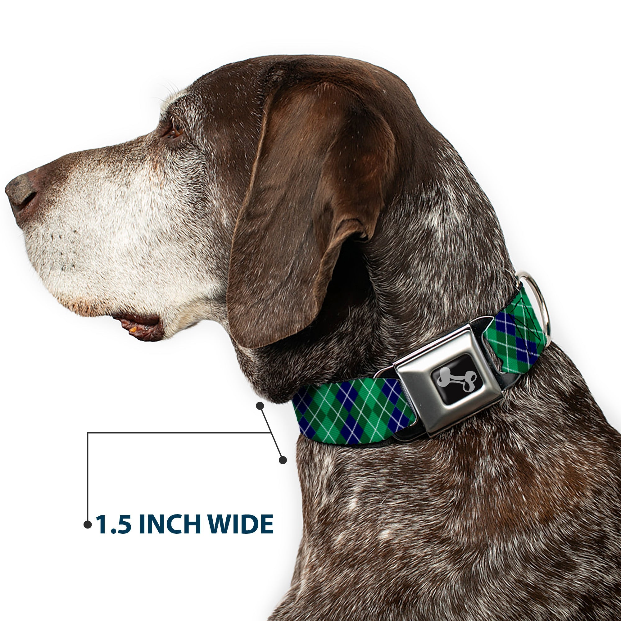 Buckle-Down Dog Bone Black/Silver Seatbelt Buckle Dog Collar - Argyle Green/Navy/Green/White